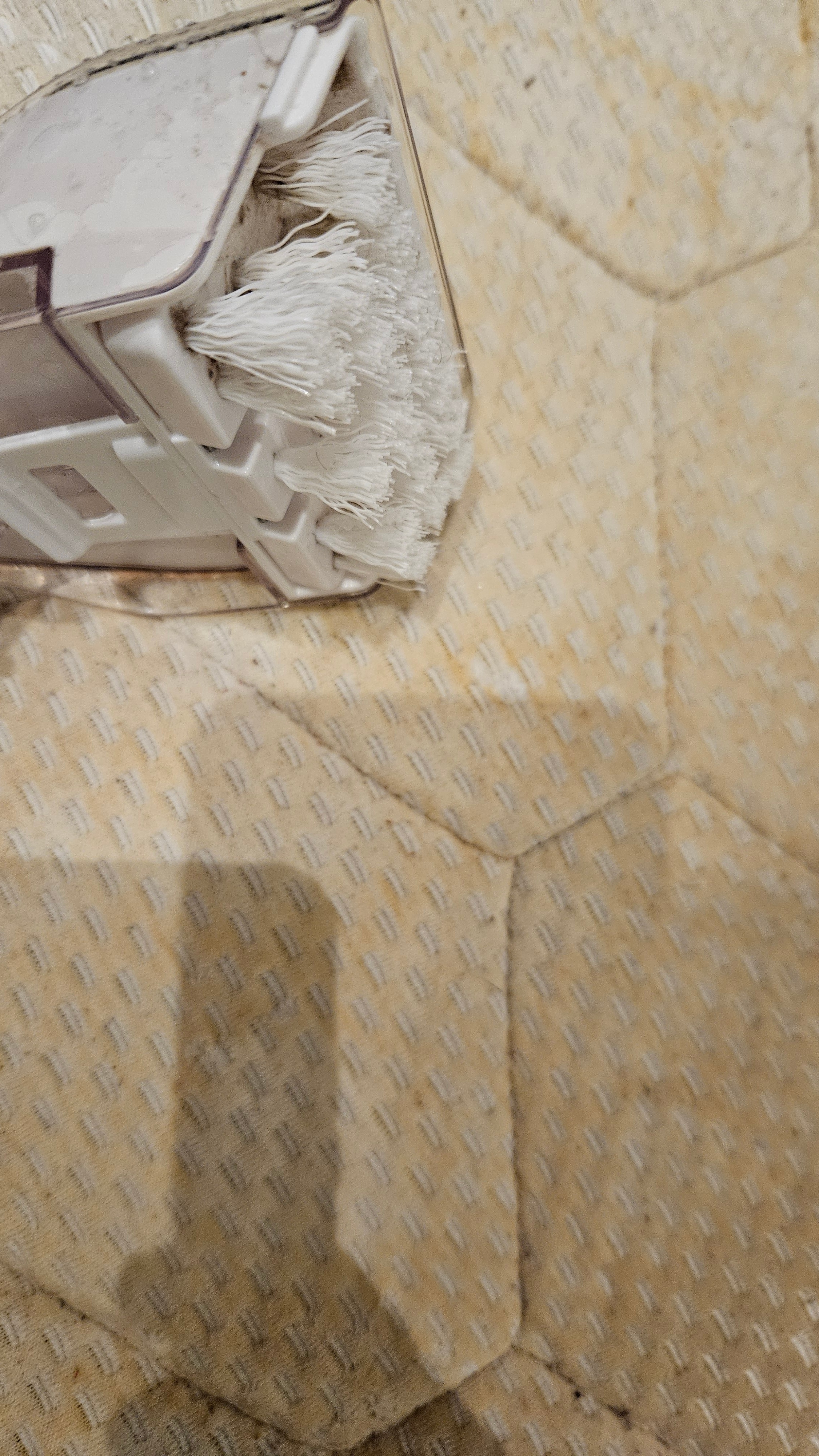 Aparat de curatat textile si tapiterie H.Koenig, TWT77, 650 W, rezervoare pentru apa curata si apa reziduala, pentru saltele, covoare, canapele, alb si vernil