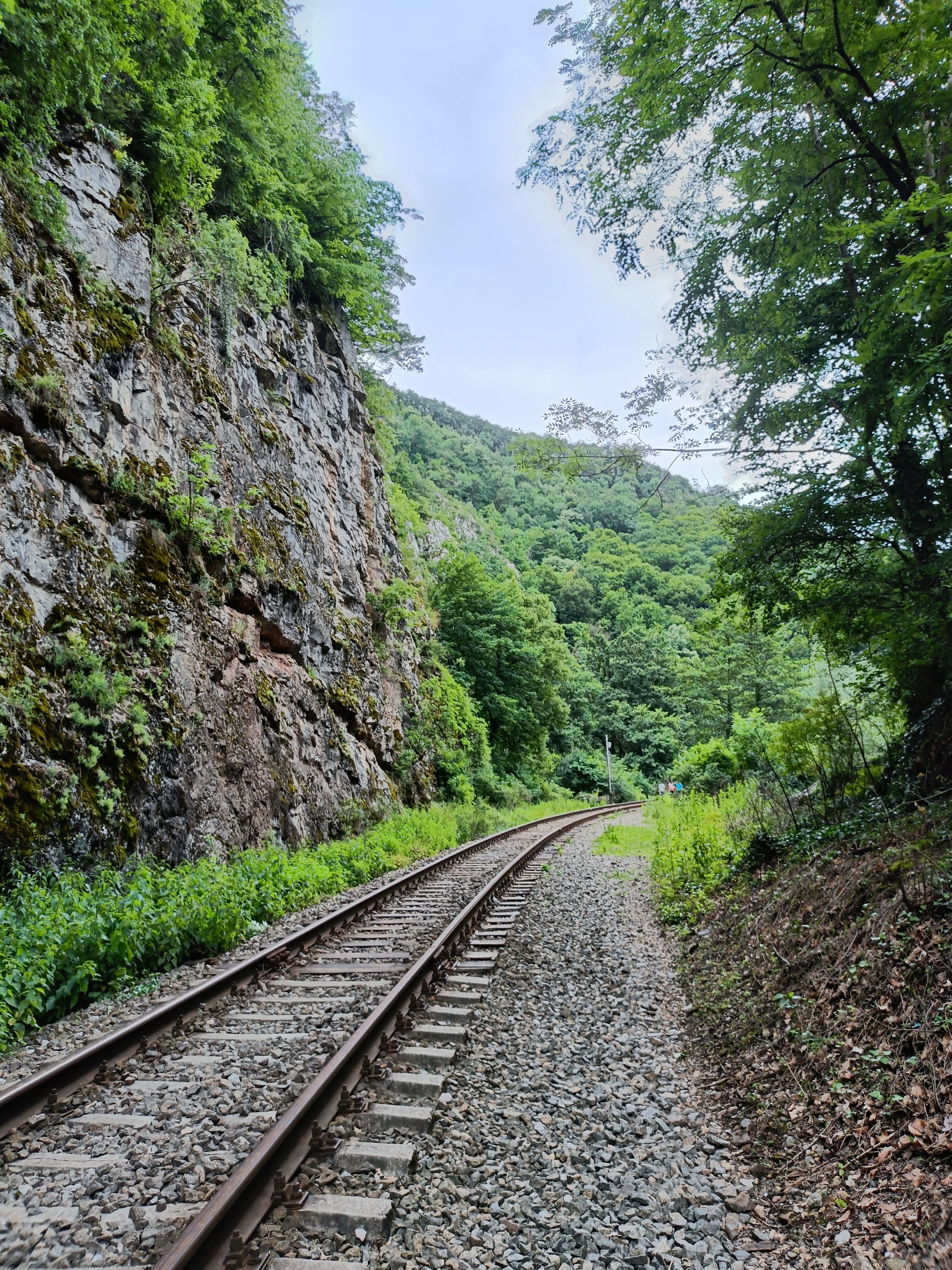 RESIGILAT: Telefon mobil OPPO Reno11 F UEFA Champions League Edition, Dual SIM, 256GB, 8GB RAM, 5G, Ocean Blue