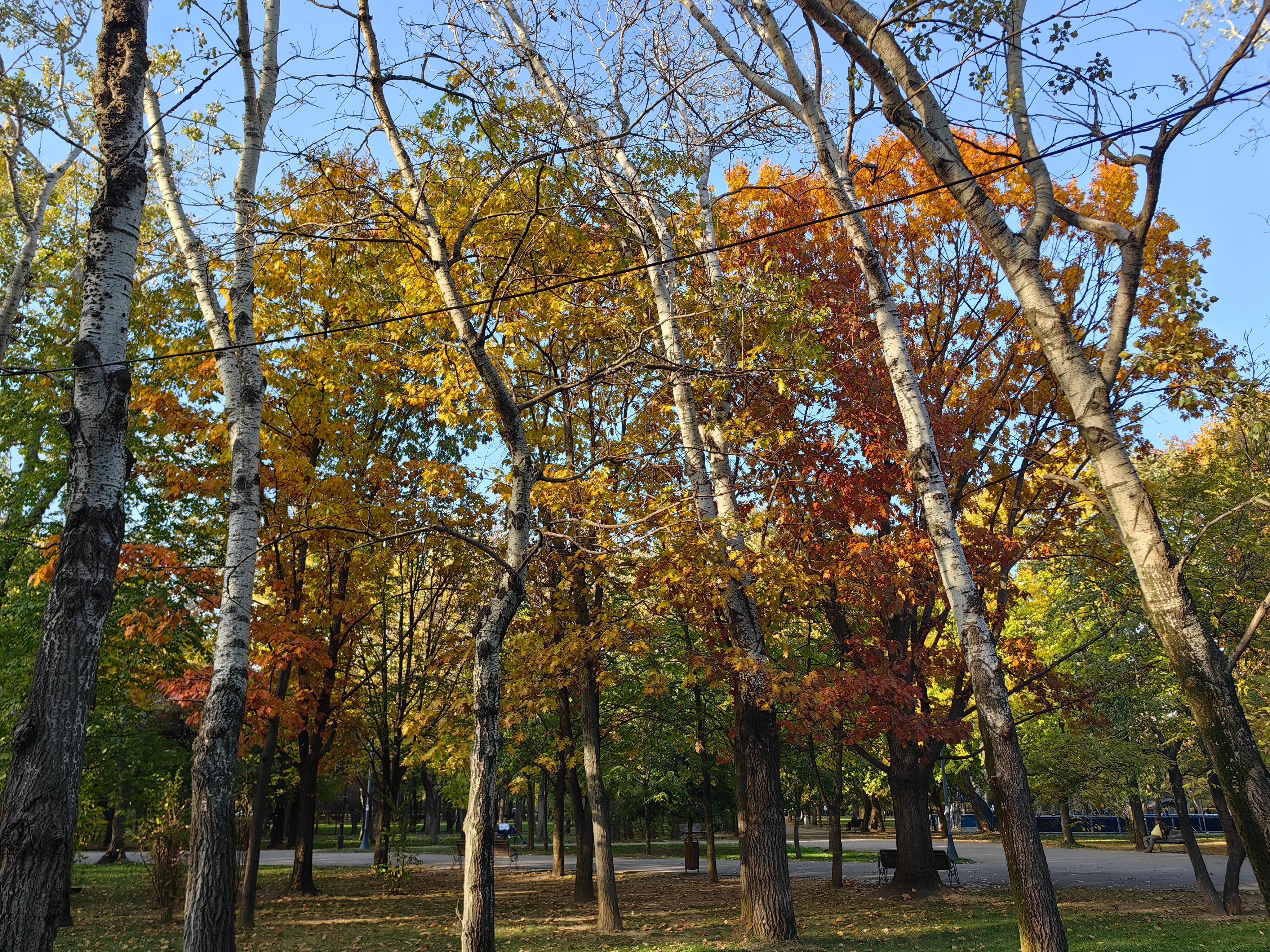 RESIGILAT: Telefon mobil Huawei Mate 50 Pro, 8GB RAM, 256GB, 4G, Black