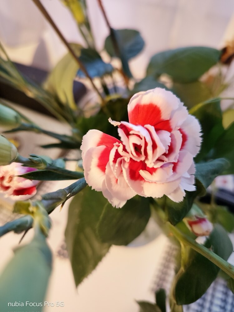 Telefon mobil ZTE nubia Focus PRO, Dual SIM, 256GB, 8GB RAM, 5G, Black