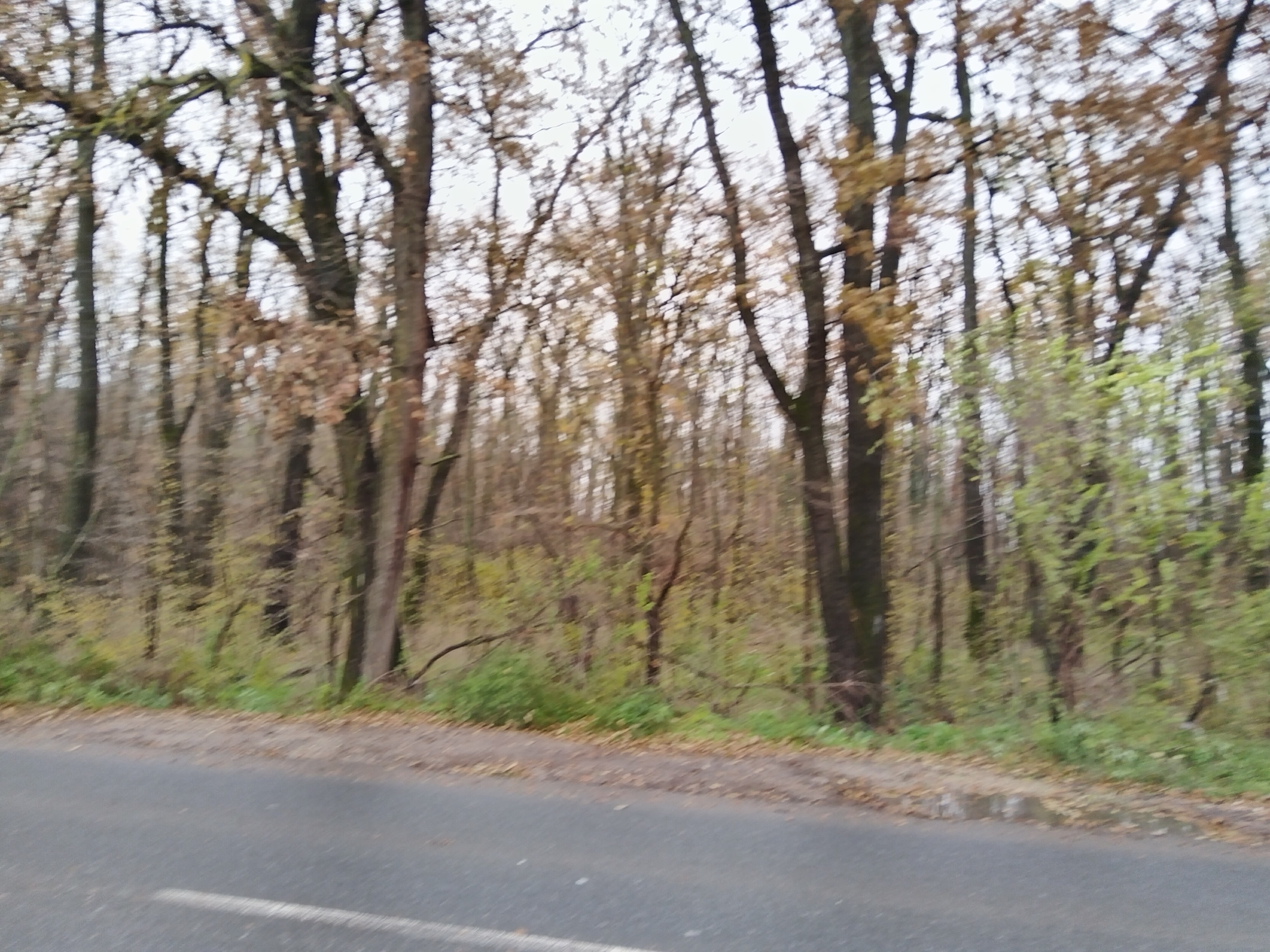 Telefon mobil Huawei Nova 10 SE, 8GB RAM, 128GB, 4G, Starry Silver