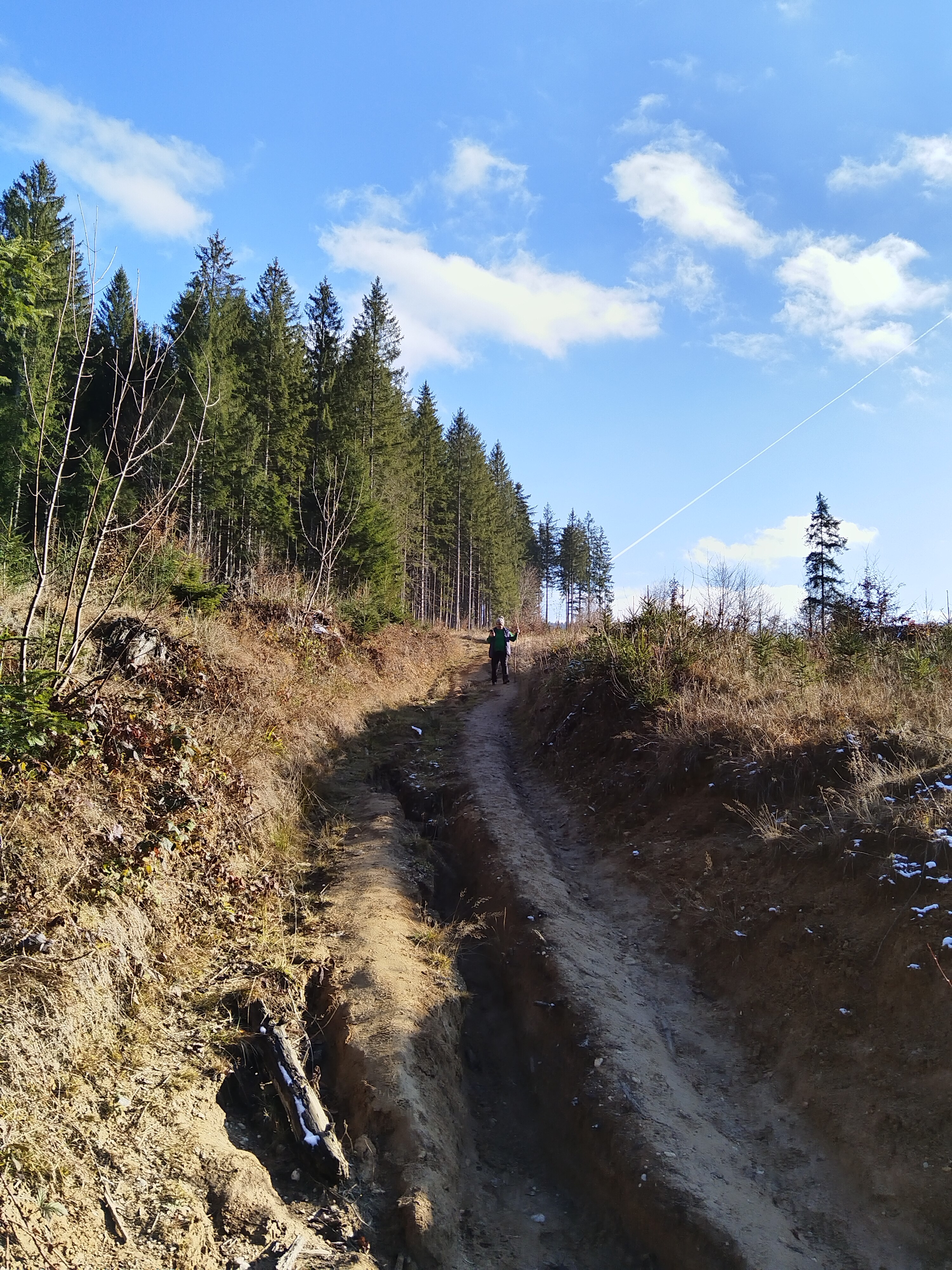 Telefon mobil Huawei Nova 10 SE, 8GB RAM, 128GB, 4G, Starry Silver