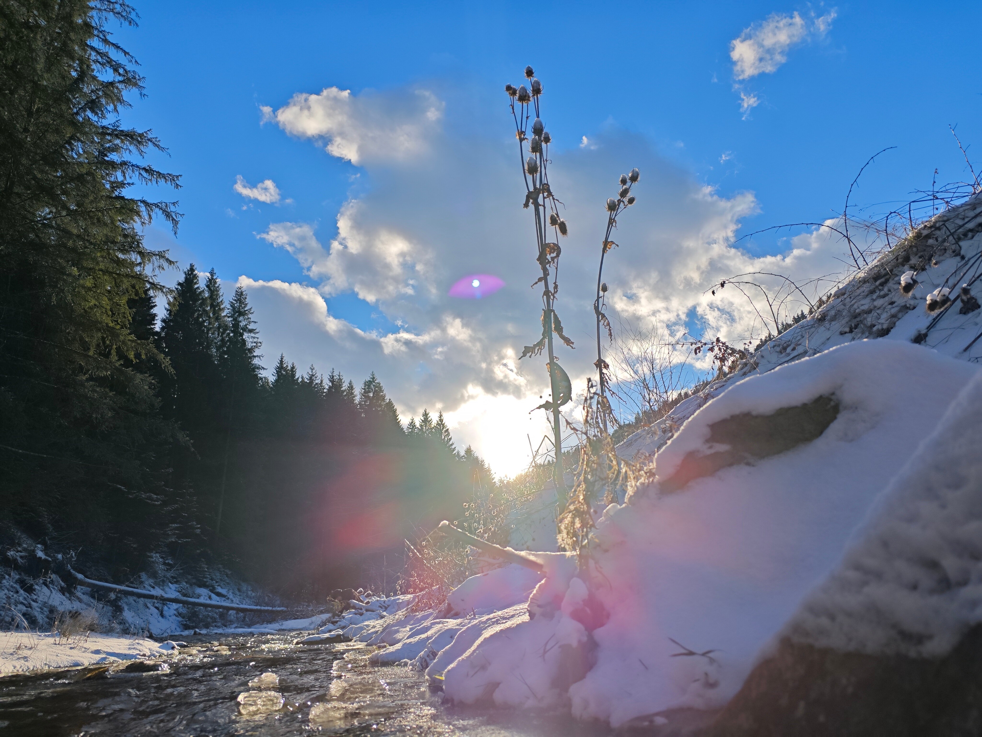 Telefon mobil Poco F6 Pro, 12GB RAM, 256GB, 5G, Black