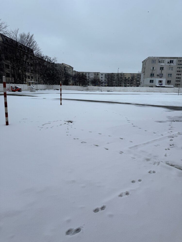 Telefon mobil Apple iPhone 15 Pro, 1TB, 5G, White Titanium