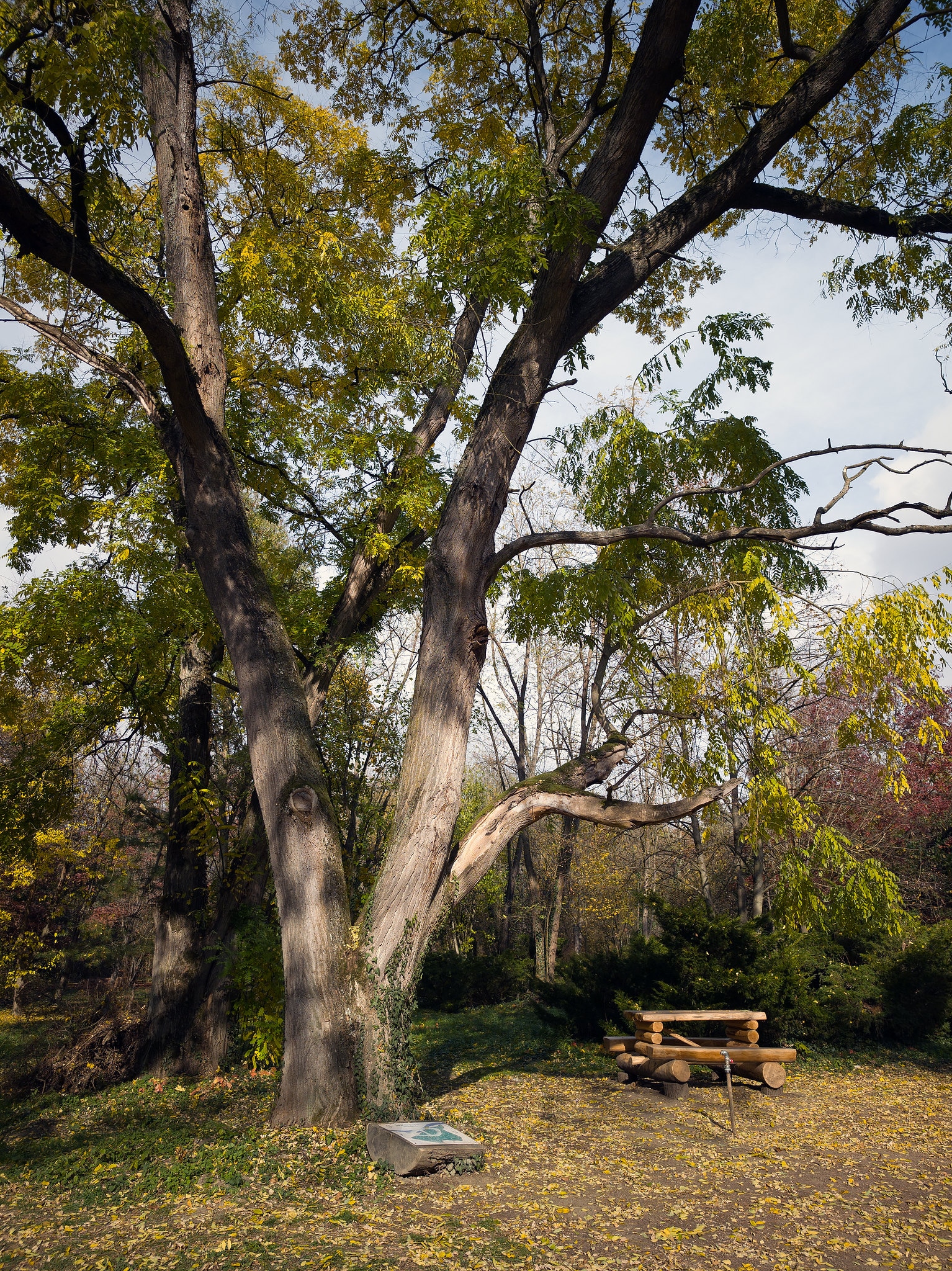 RESIGILAT: Telefon mobil Xiaomi 14 Ultra, 16GB RAM, 512GB, 5G, White