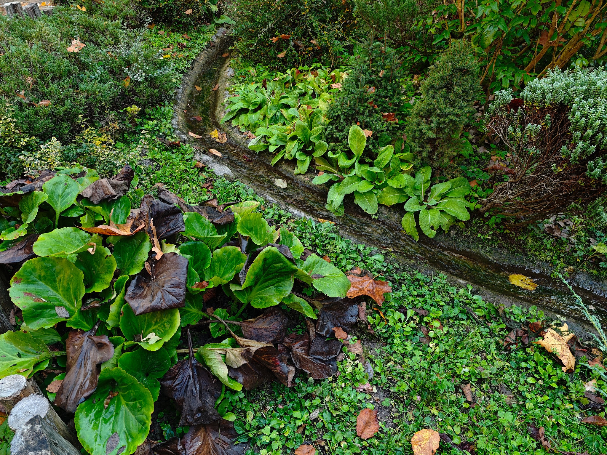 RESIGILAT: Telefon mobil Xiaomi 14 Ultra, 16GB RAM, 512GB, 5G, White