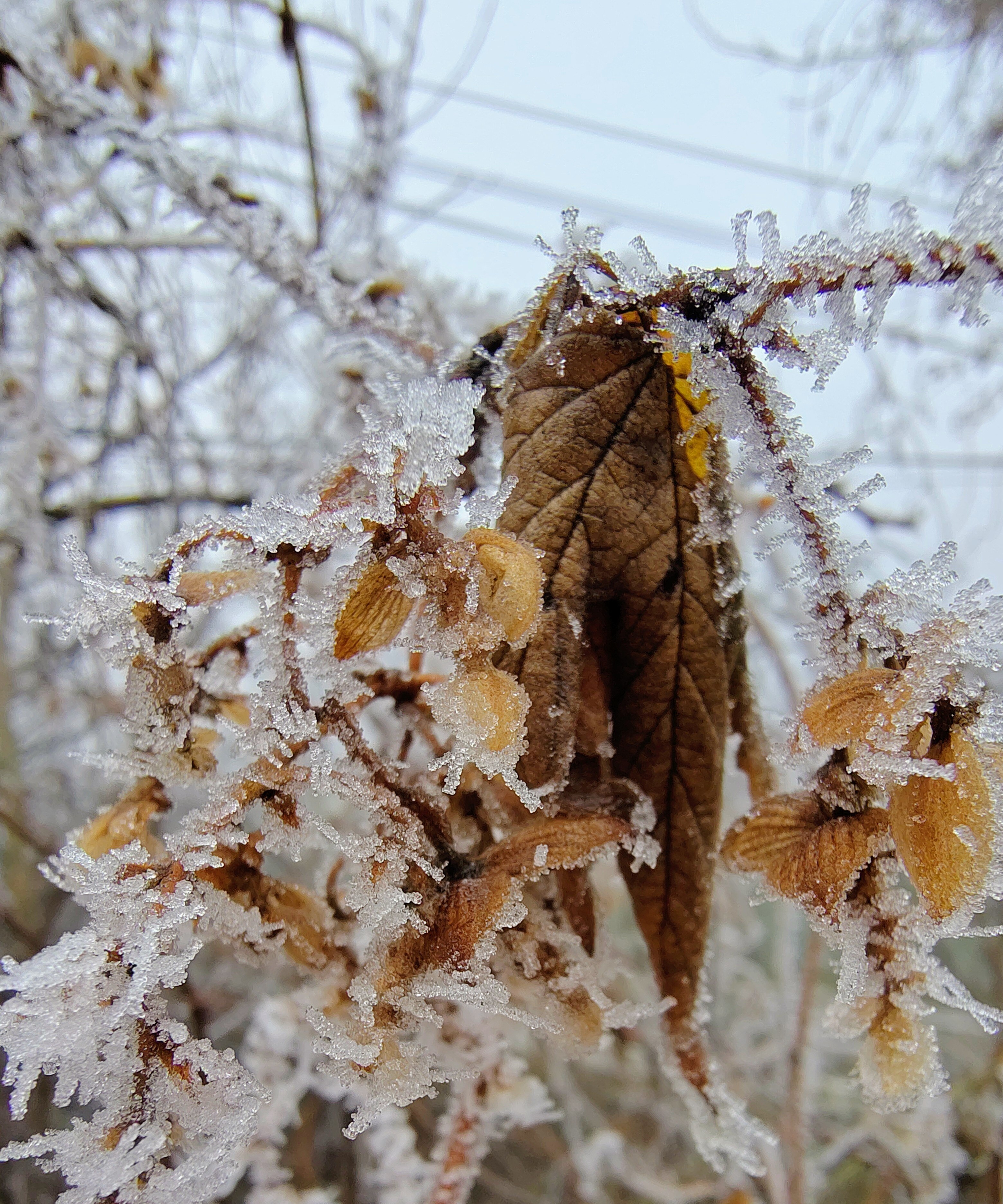 Telefon mobil Motorola Edge 50, Dual SIM, 512GB, 12GB RAM, 5G, Steel Wool