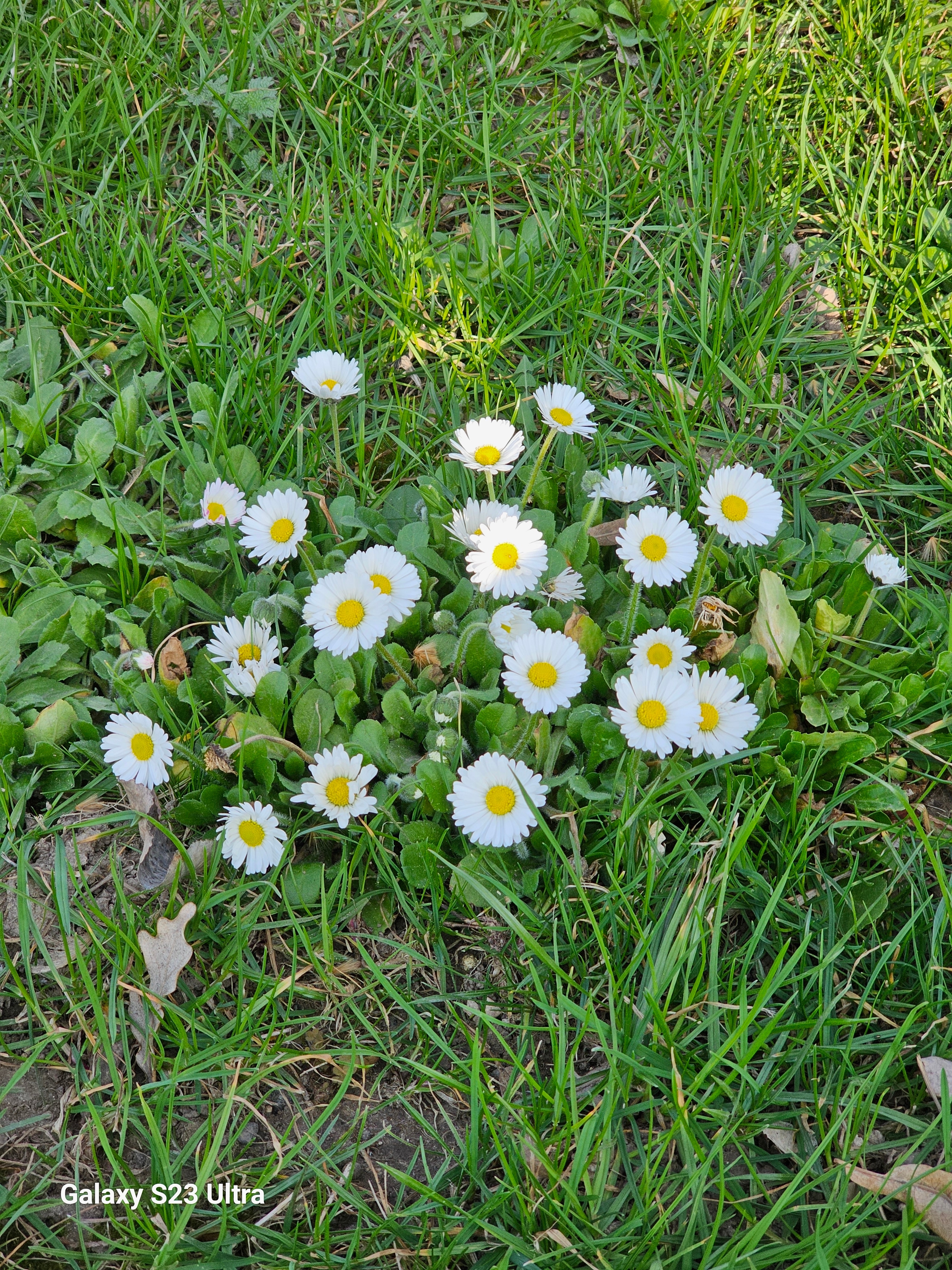 Telefon mobil Samsung Galaxy S23 Ultra, Dual SIM, 8GB RAM, 256GB, 5G, Phantom Black