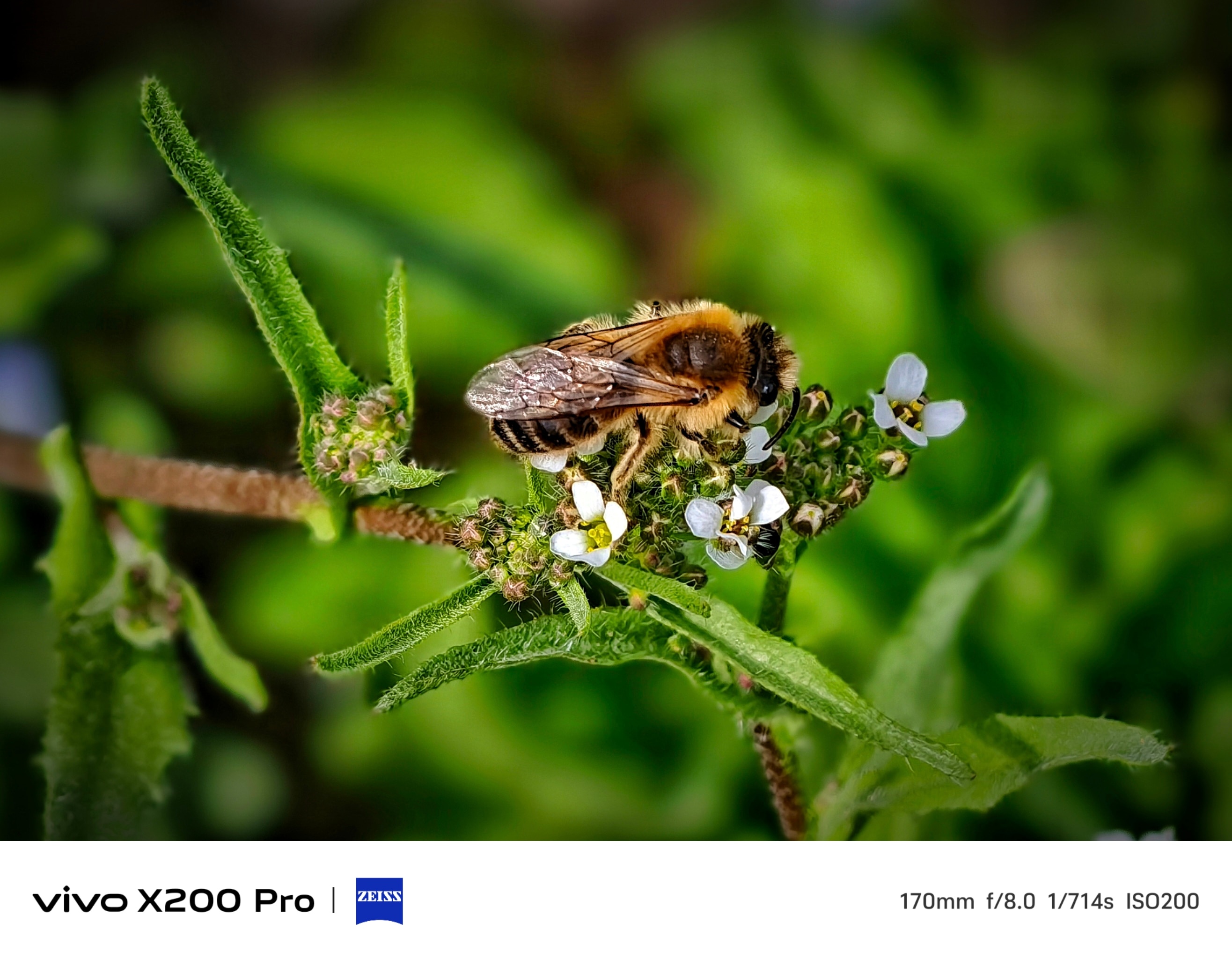 Telefon mobil Vivo X200 Pro, 16GB RAM, 512GB, 5G, Titanium