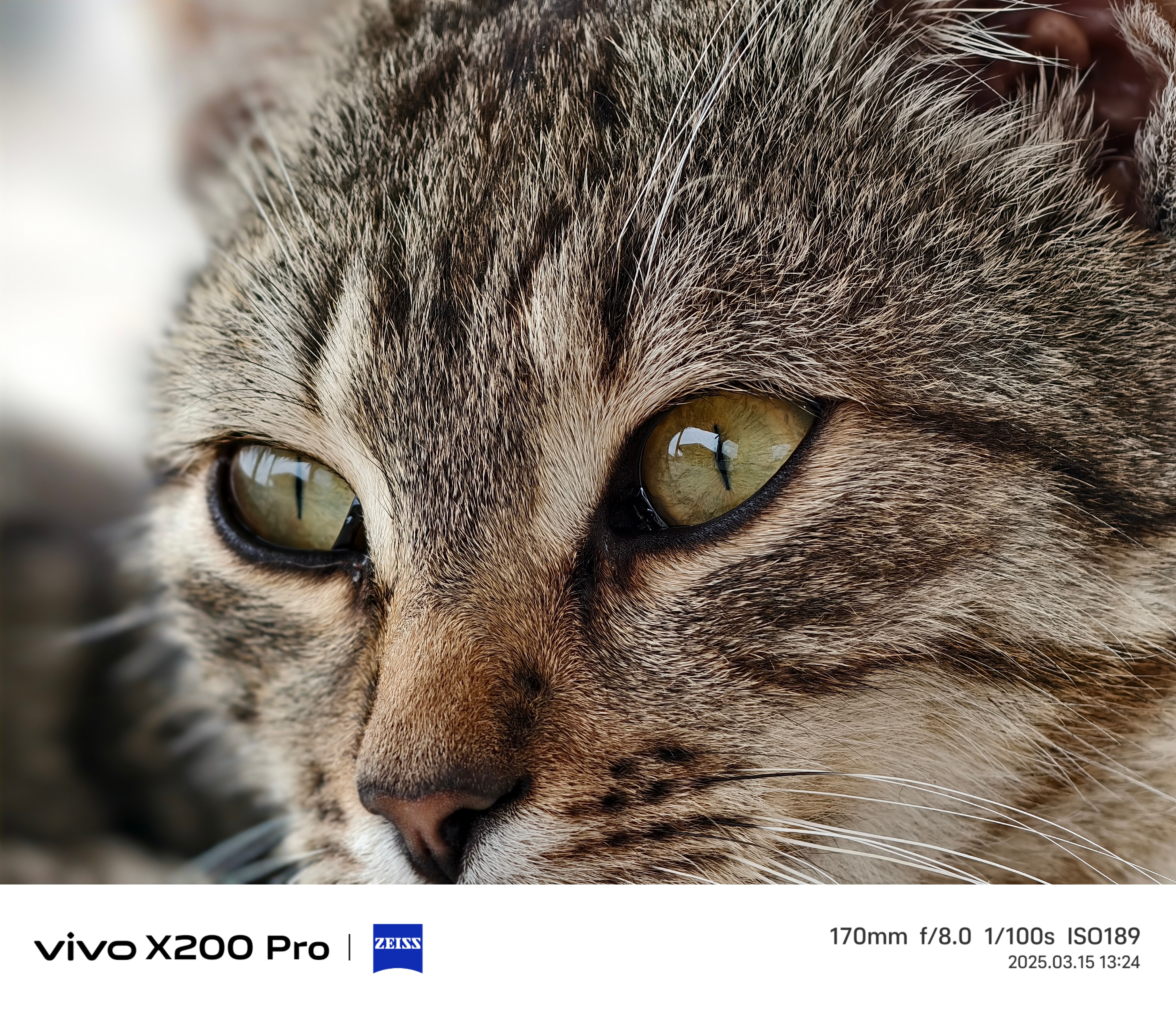 Telefon mobil Vivo X200 Pro, 16GB RAM, 512GB, 5G, Titanium