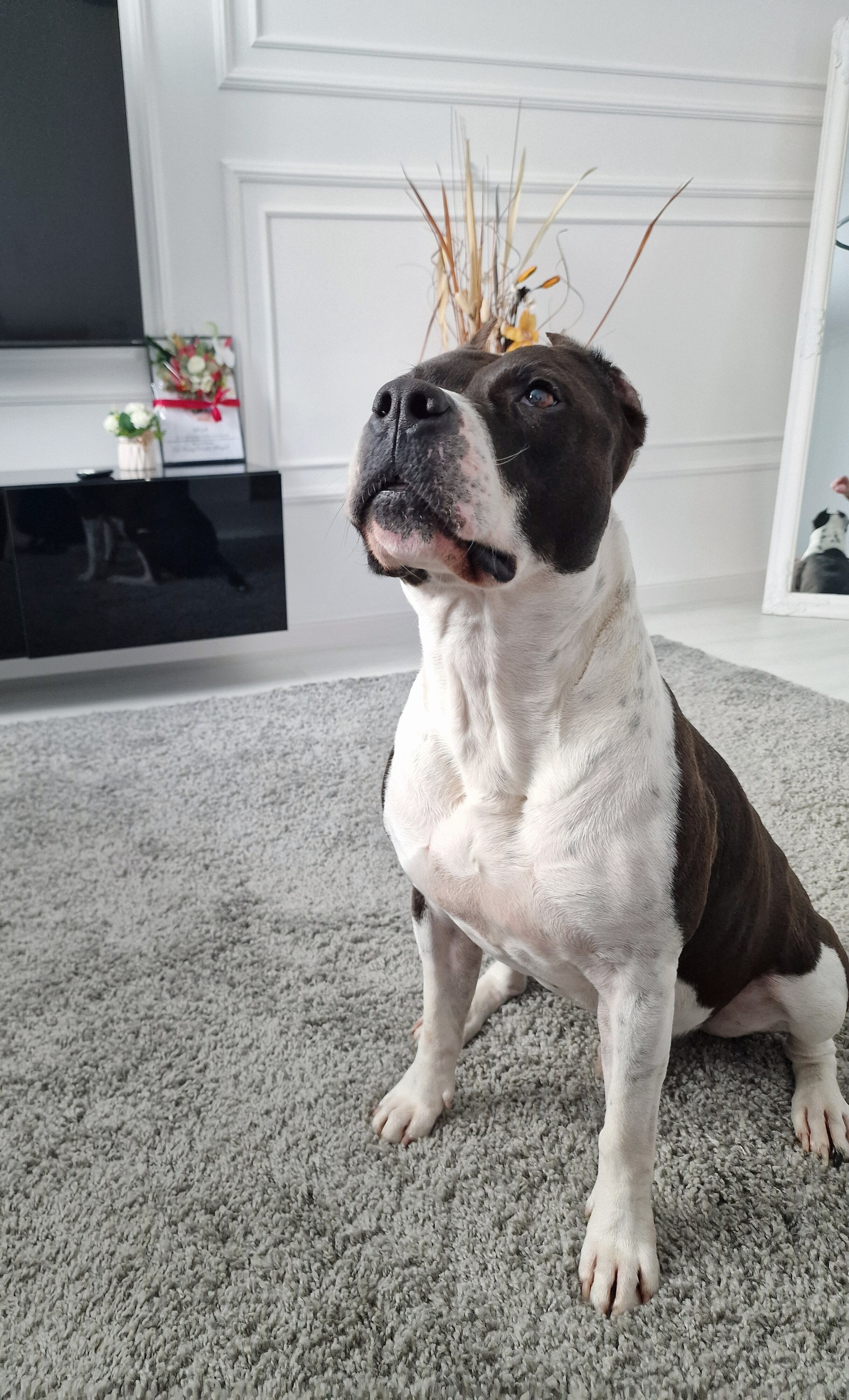 Telefon mobil Samsung Galaxy S22 Ultra, Dual SIM, 512GB, 12GB RAM, 5G, Phantom White