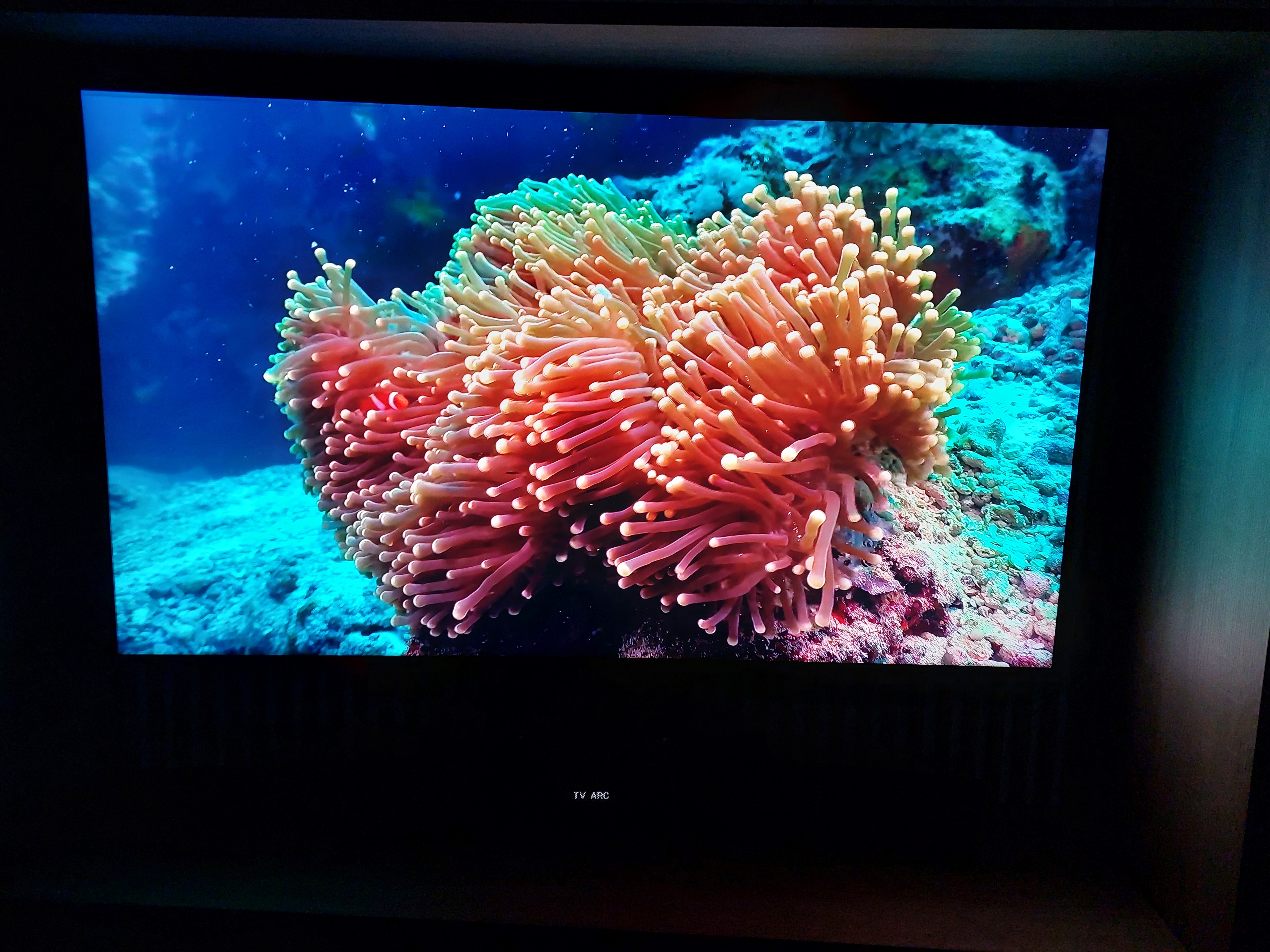 Televizor SAMSUNG QLED 85Q70D, 214 cm, Smart, 4K Ultra HD, 100 Hz, Clasa D