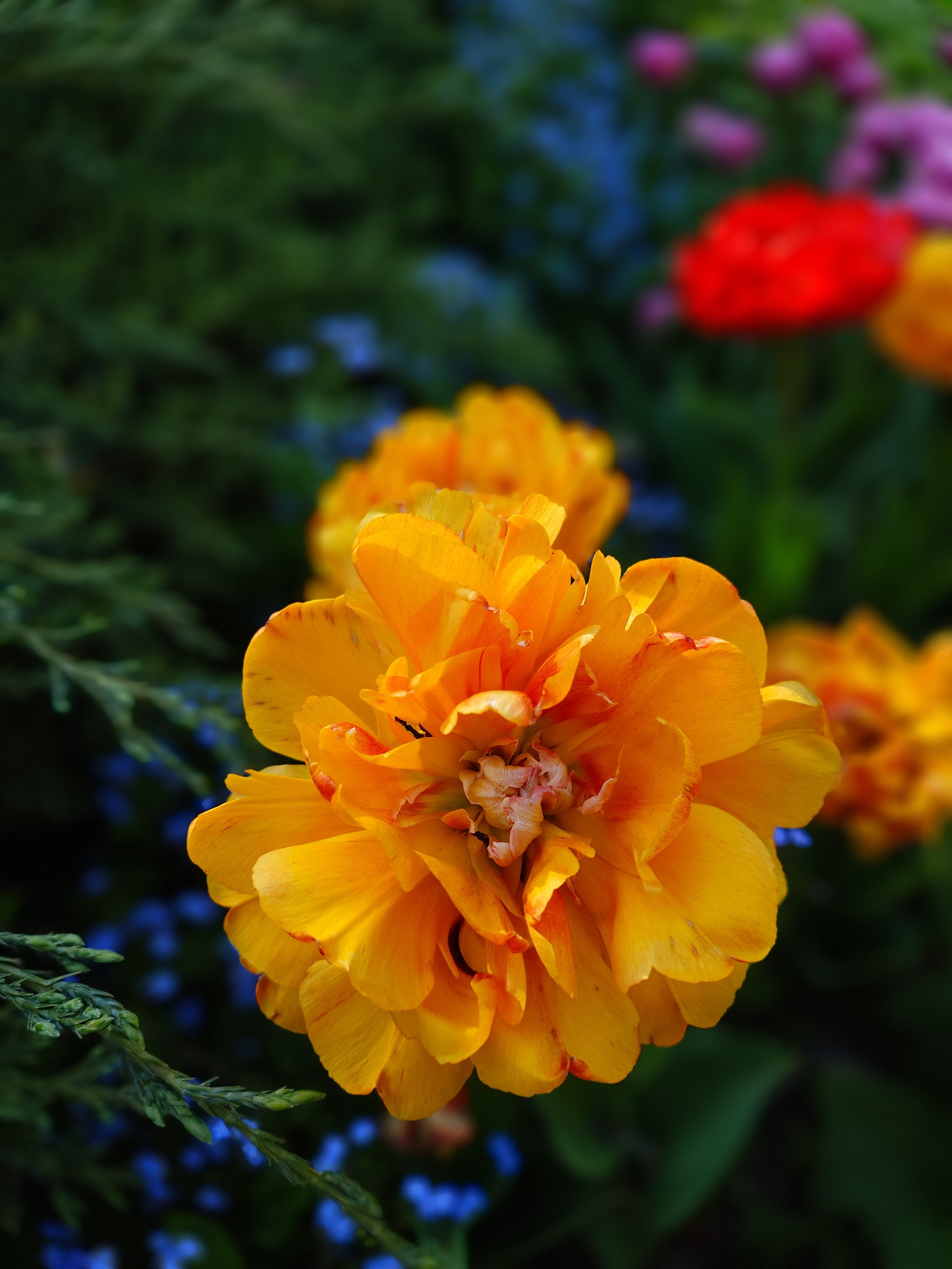 RESIGILAT: Telefon mobil Sony Xperia 1 VI, Dual SIM, 12GB RAM, 512GB, 5G, Red