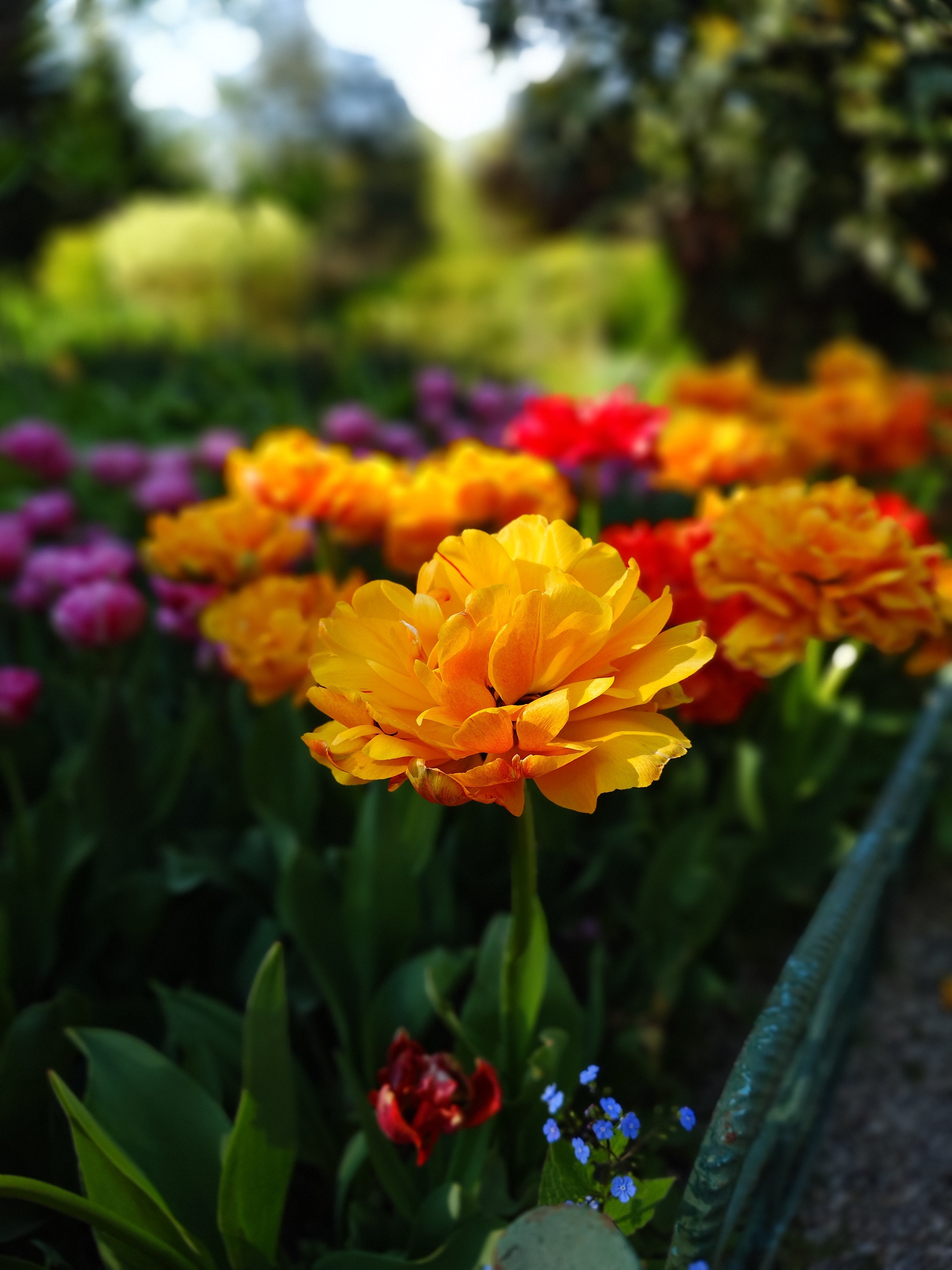 RESIGILAT: Telefon mobil Sony Xperia 1 VI, Dual SIM, 12GB RAM, 512GB, 5G, Red