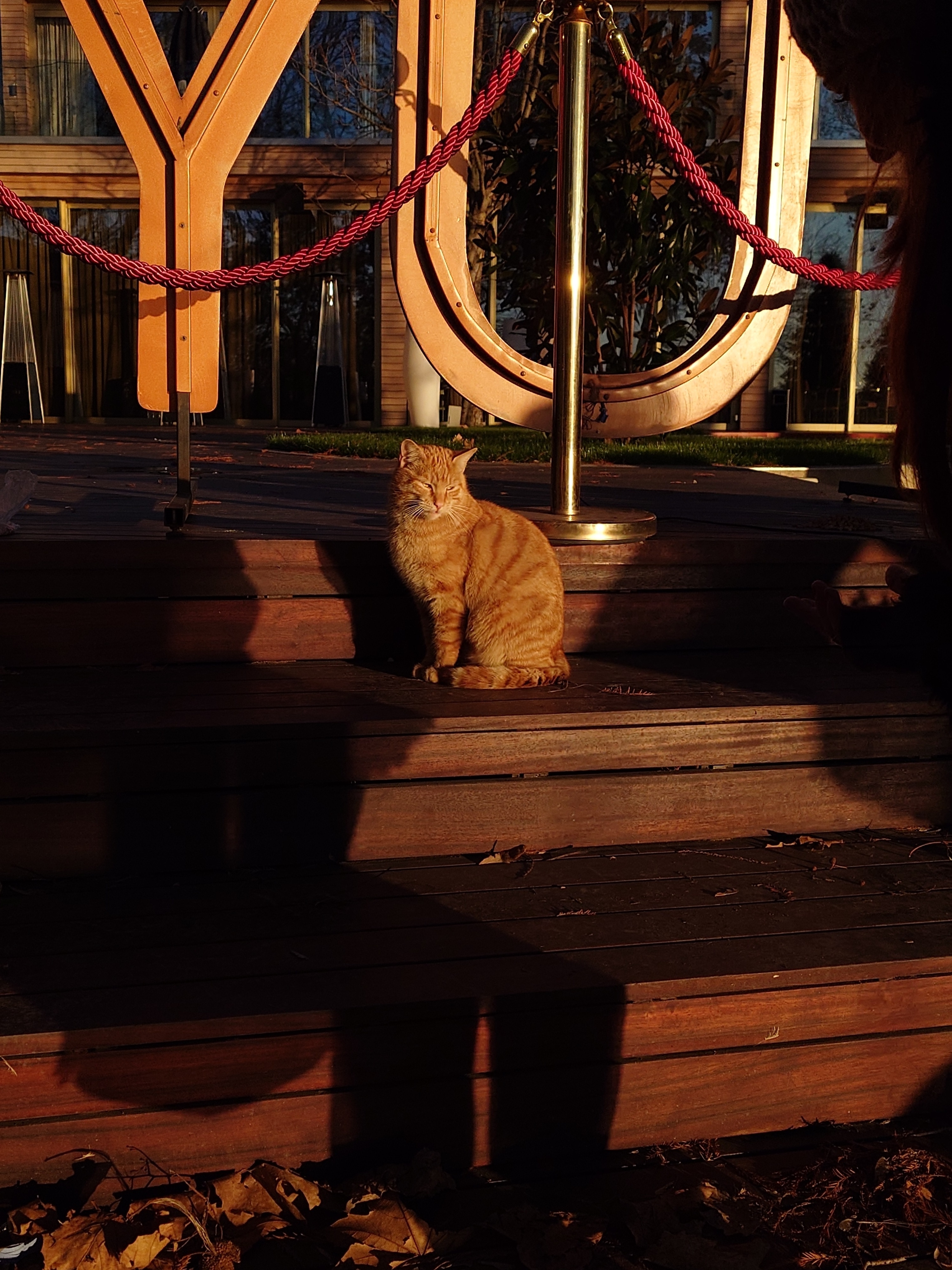 RESIGILAT: Telefon mobil Sony Xperia 1 VI, Dual SIM, 12GB RAM, 512GB, 5G, Red