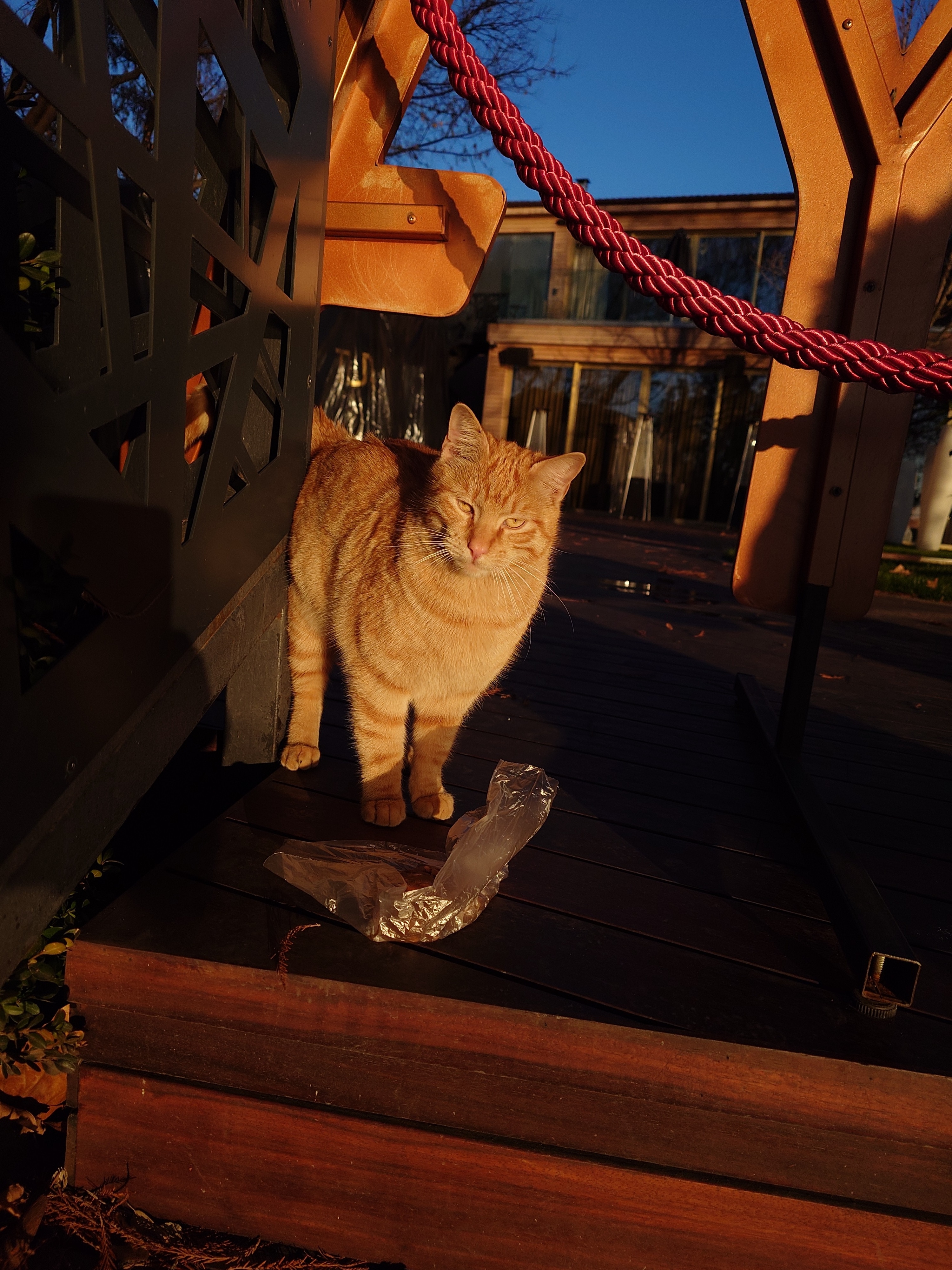 RESIGILAT: Telefon mobil Sony Xperia 1 VI, Dual SIM, 12GB RAM, 512GB, 5G, Red