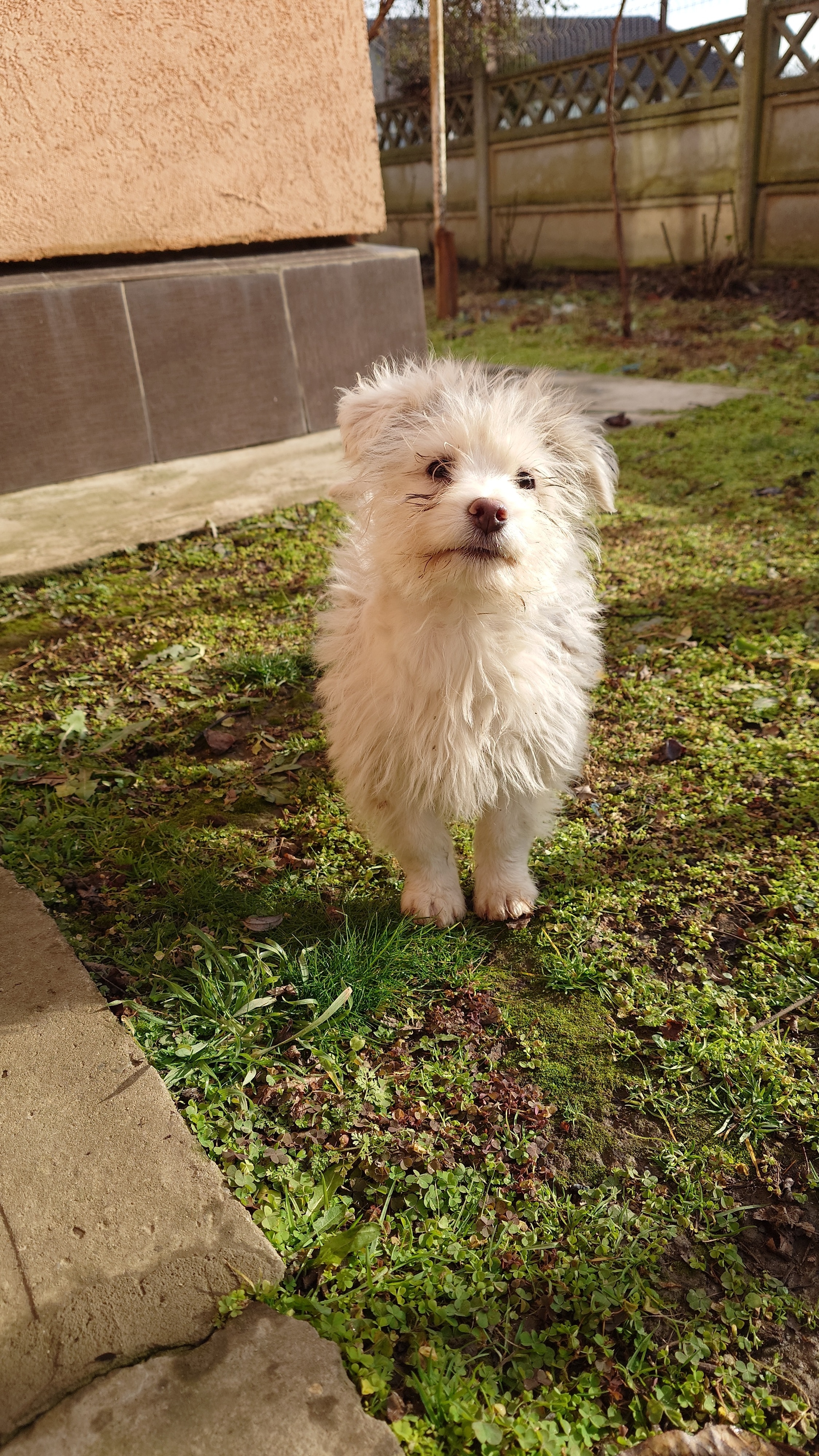 RESIGILAT: Telefon mobil Sony Xperia 1 VI, Dual SIM, 12GB RAM, 512GB, 5G, Red