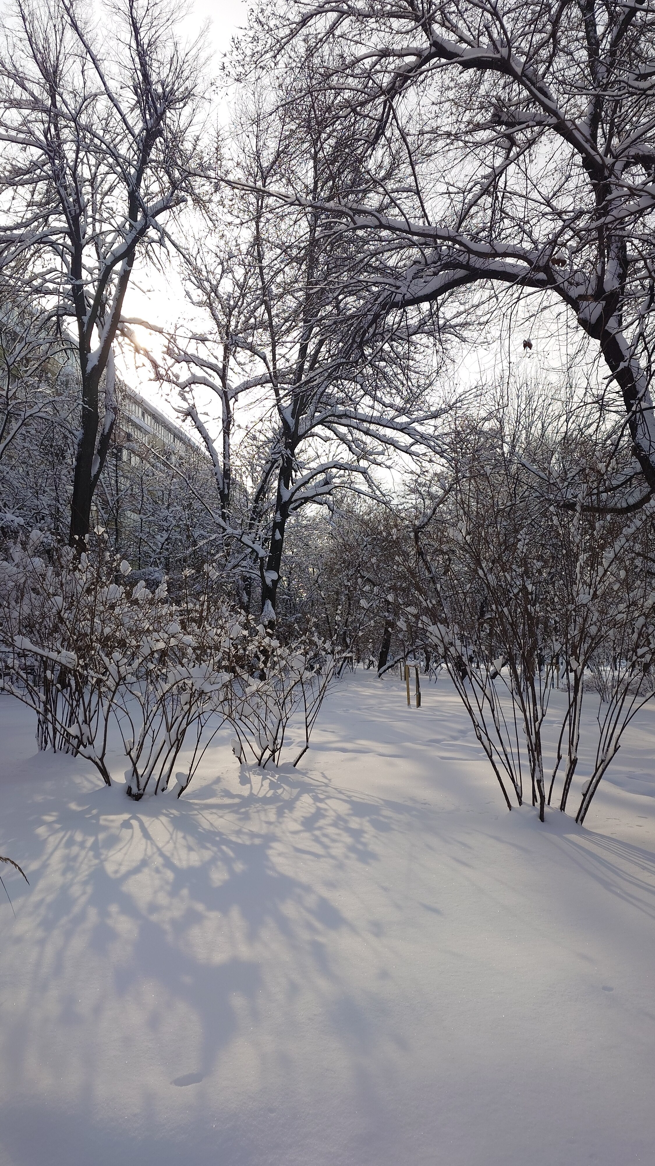 RESIGILAT: Telefon mobil Sony Xperia 1 VI, Dual SIM, 12GB RAM, 512GB, 5G, Red