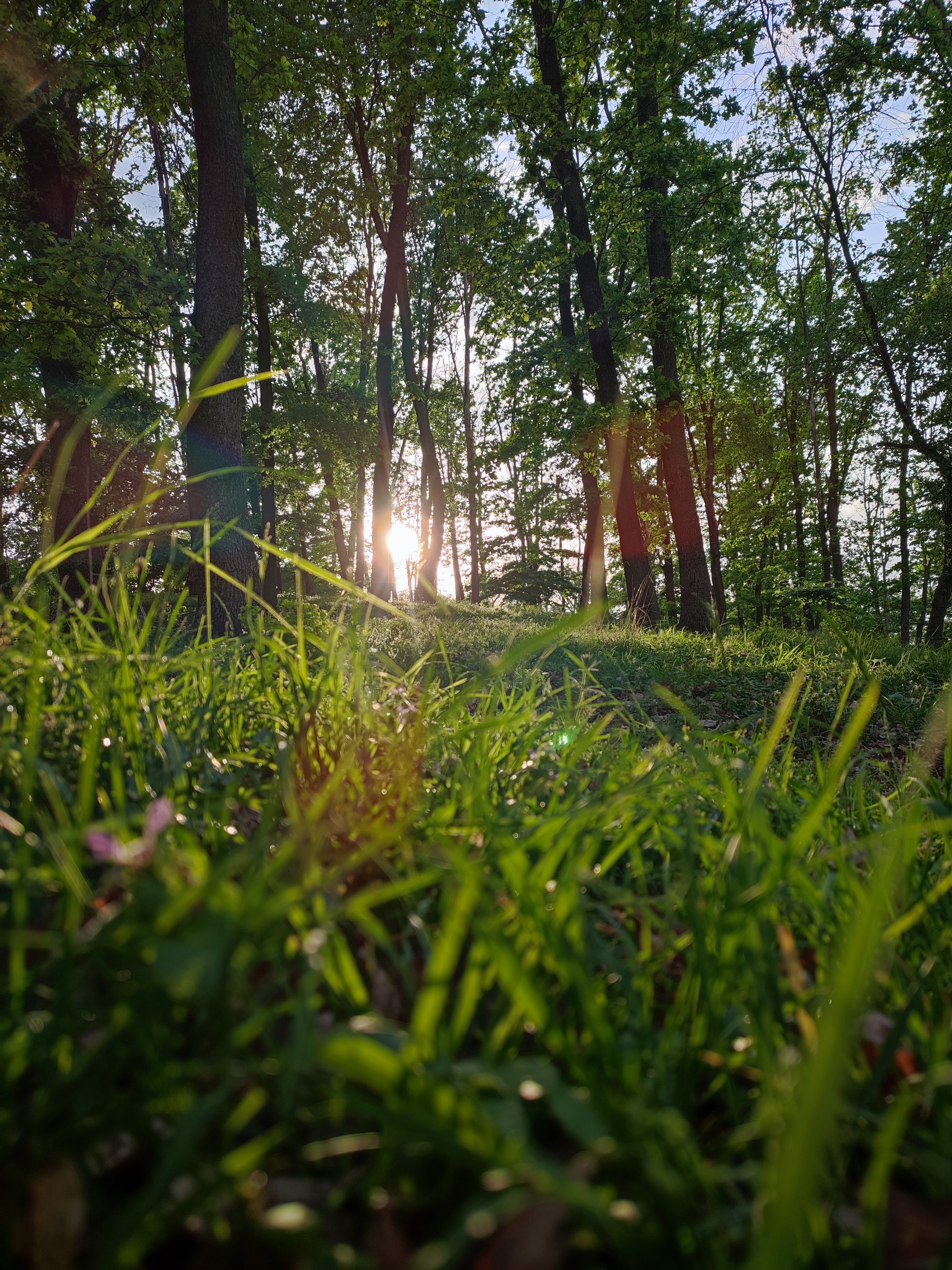 Telefon mobil Xiaomi Redmi Note 10 Pro, Dual SIM, 6GB, 128GB, Onyx Gray