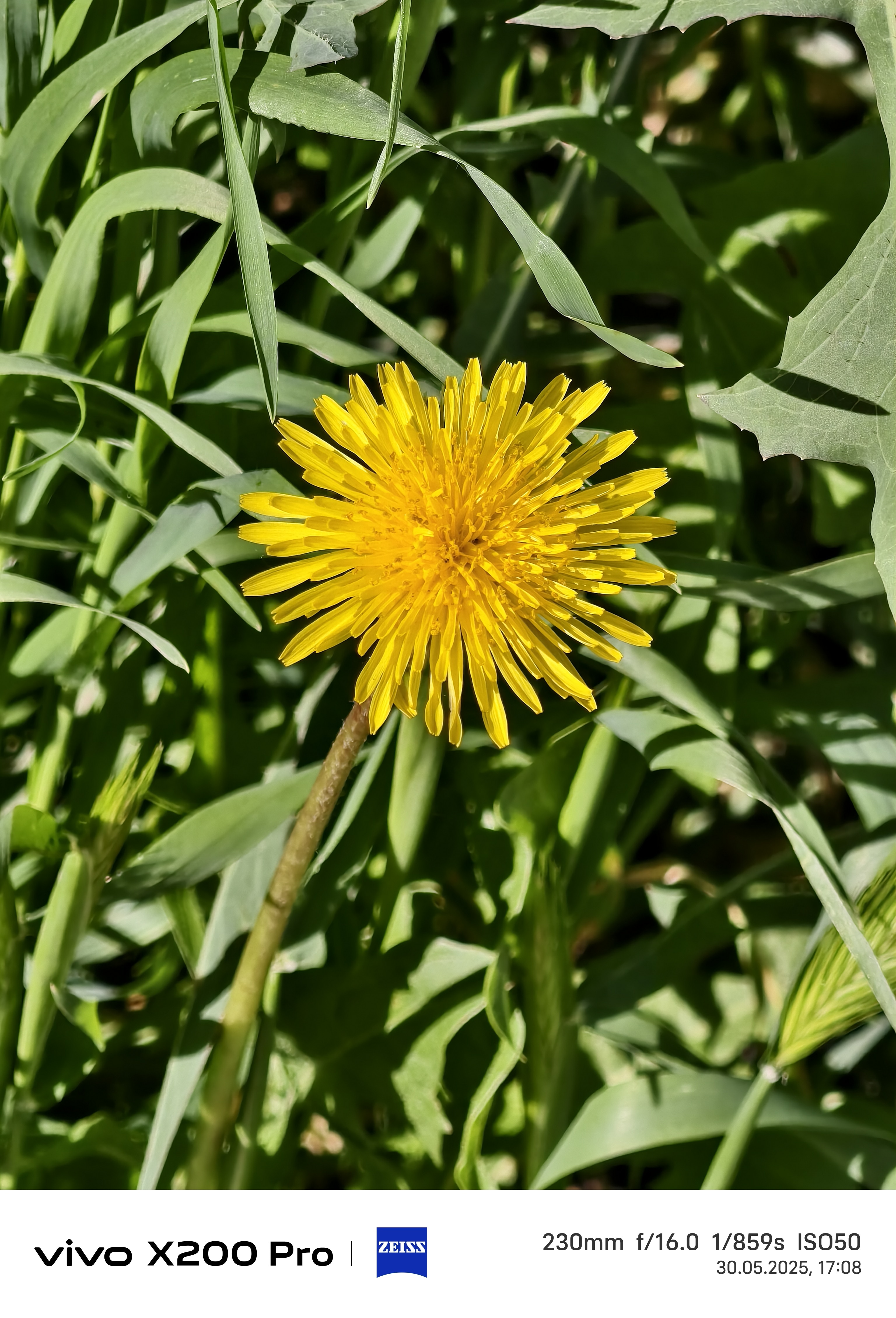 Telefon mobil Vivo X200 Pro, 16GB RAM, 512GB, 5G, Titanium