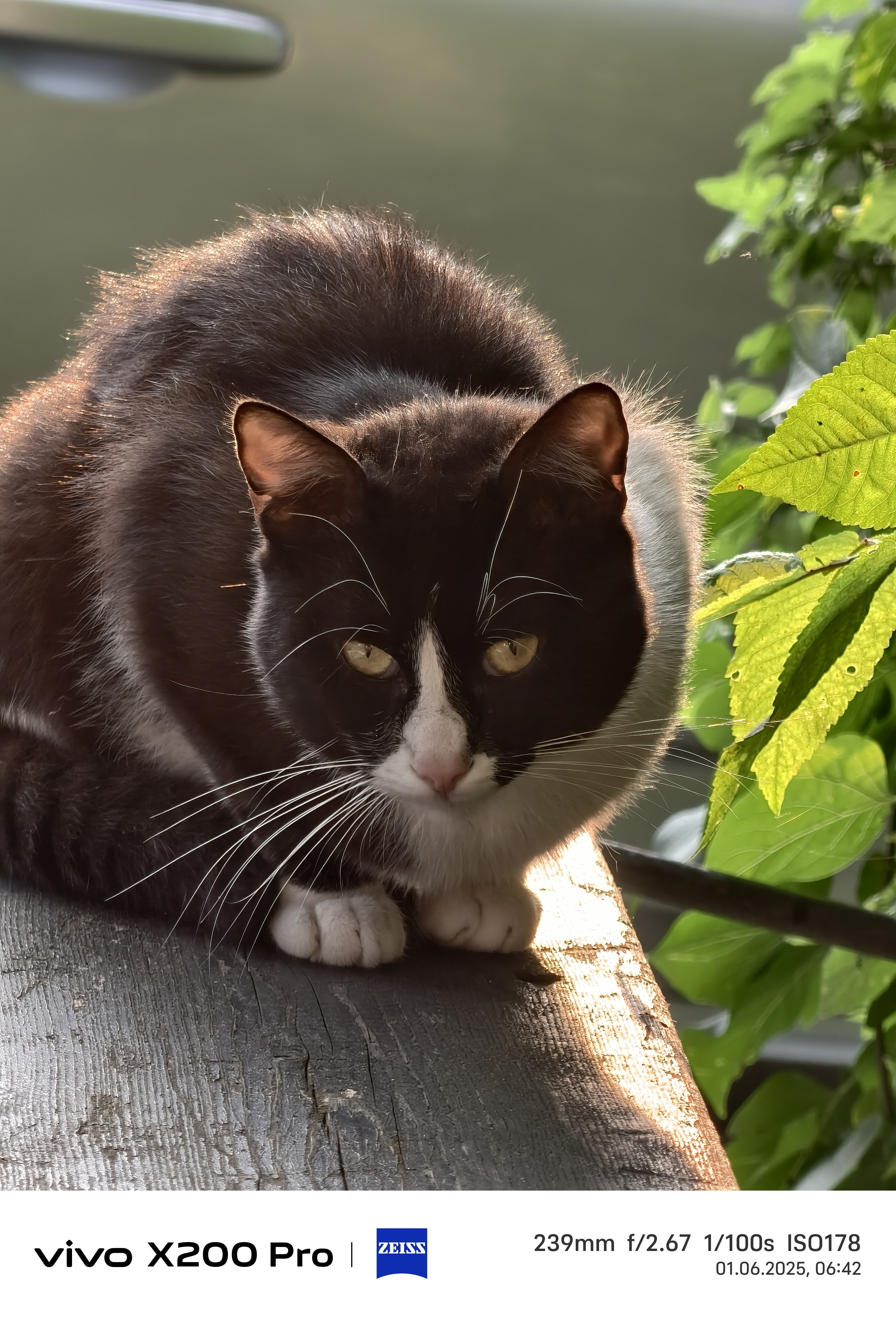 Telefon mobil Vivo X200 Pro, 16GB RAM, 512GB, 5G, Titanium