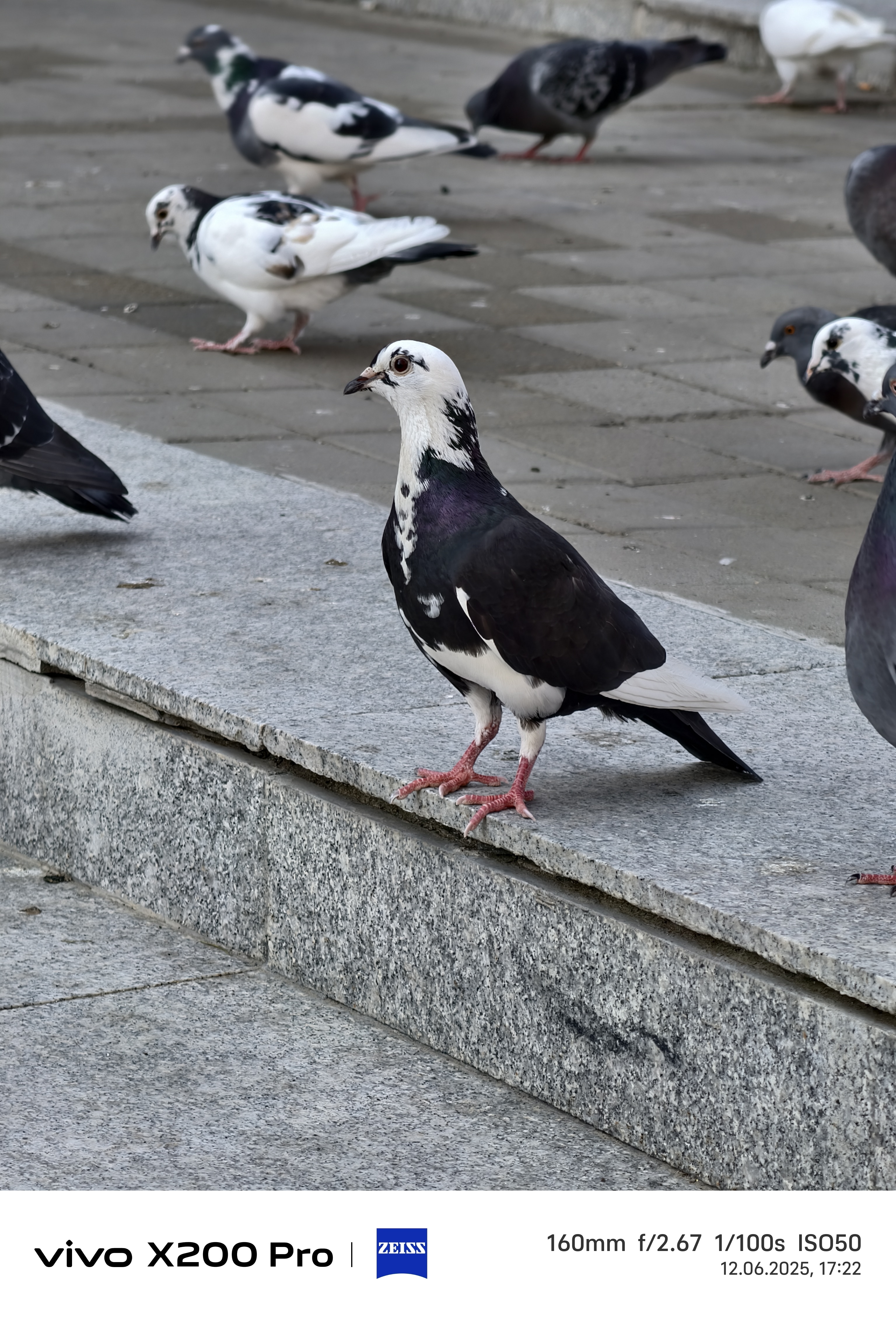 Telefon mobil Vivo X200 Pro, 16GB RAM, 512GB, 5G, Titanium