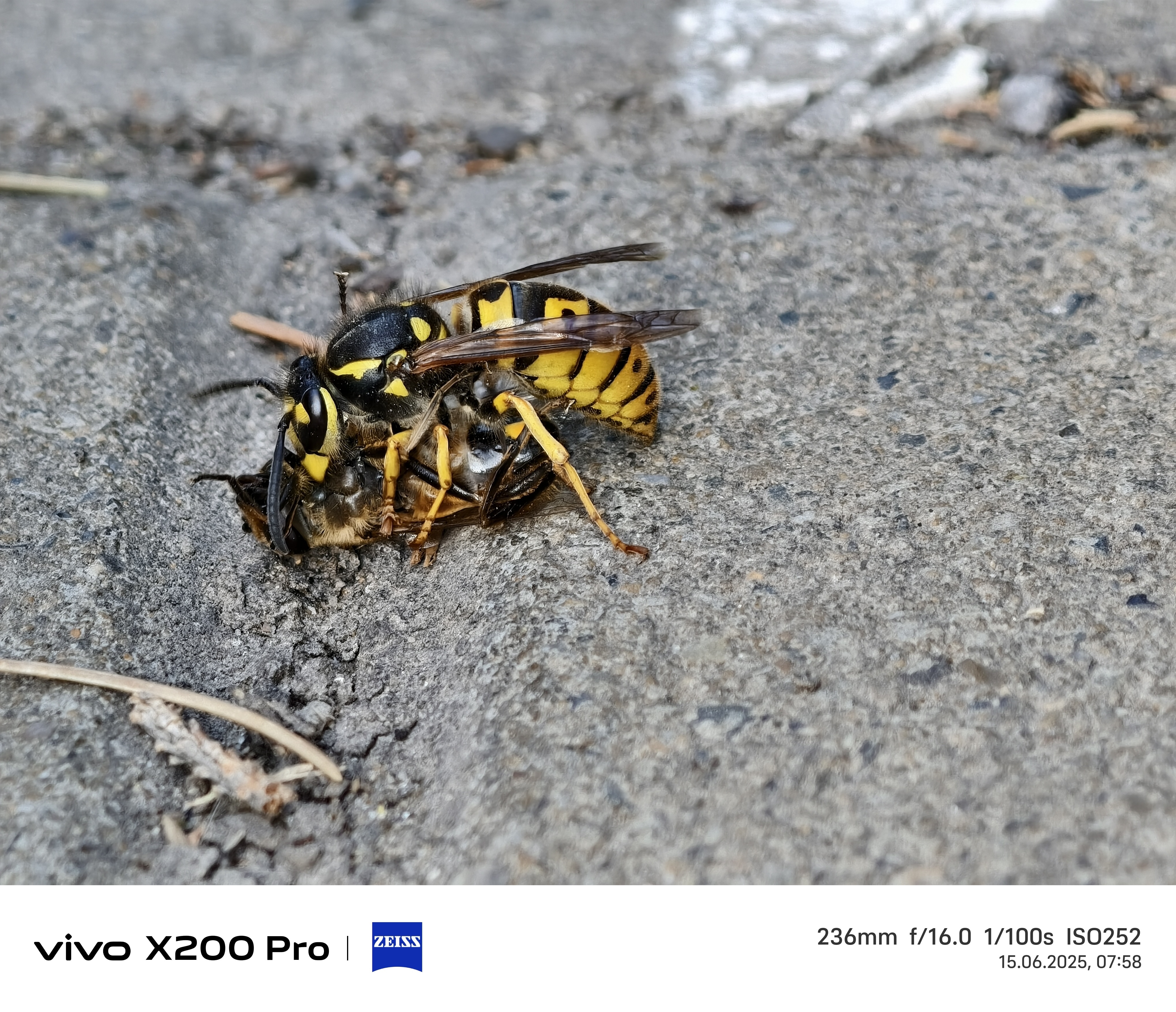 Telefon mobil Vivo X200 Pro, 16GB RAM, 512GB, 5G, Titanium