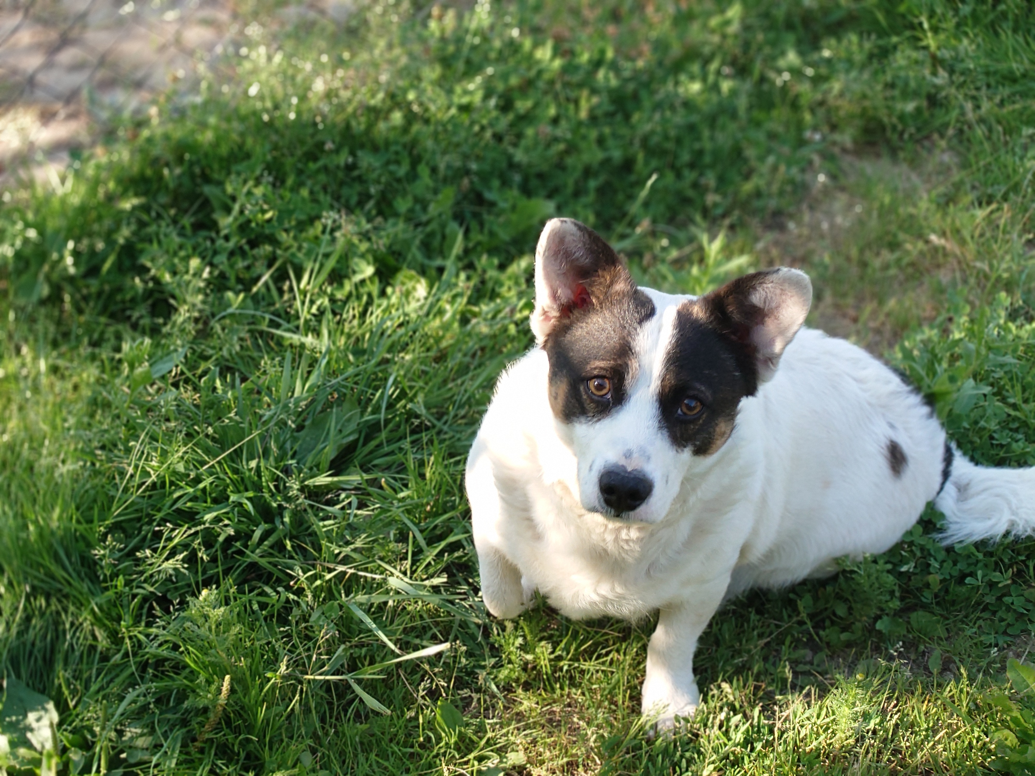 RESIGILAT: Telefon mobil Sony Xperia 1 VI, Dual SIM, 12GB RAM, 512GB, 5G, Red