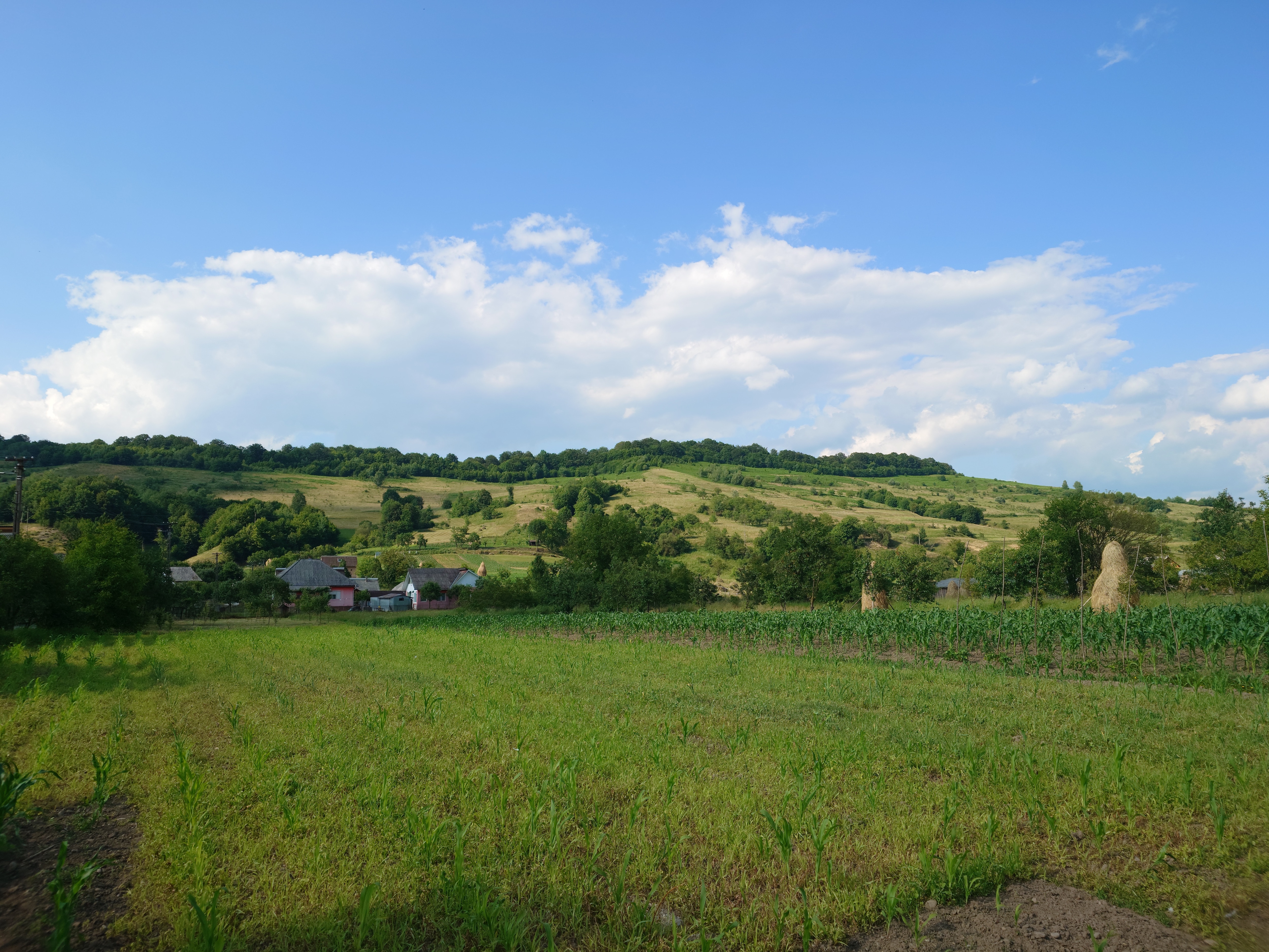 RESIGILAT: Telefon mobil Sony Xperia 1 VI, Dual SIM, 12GB RAM, 512GB, 5G, Red