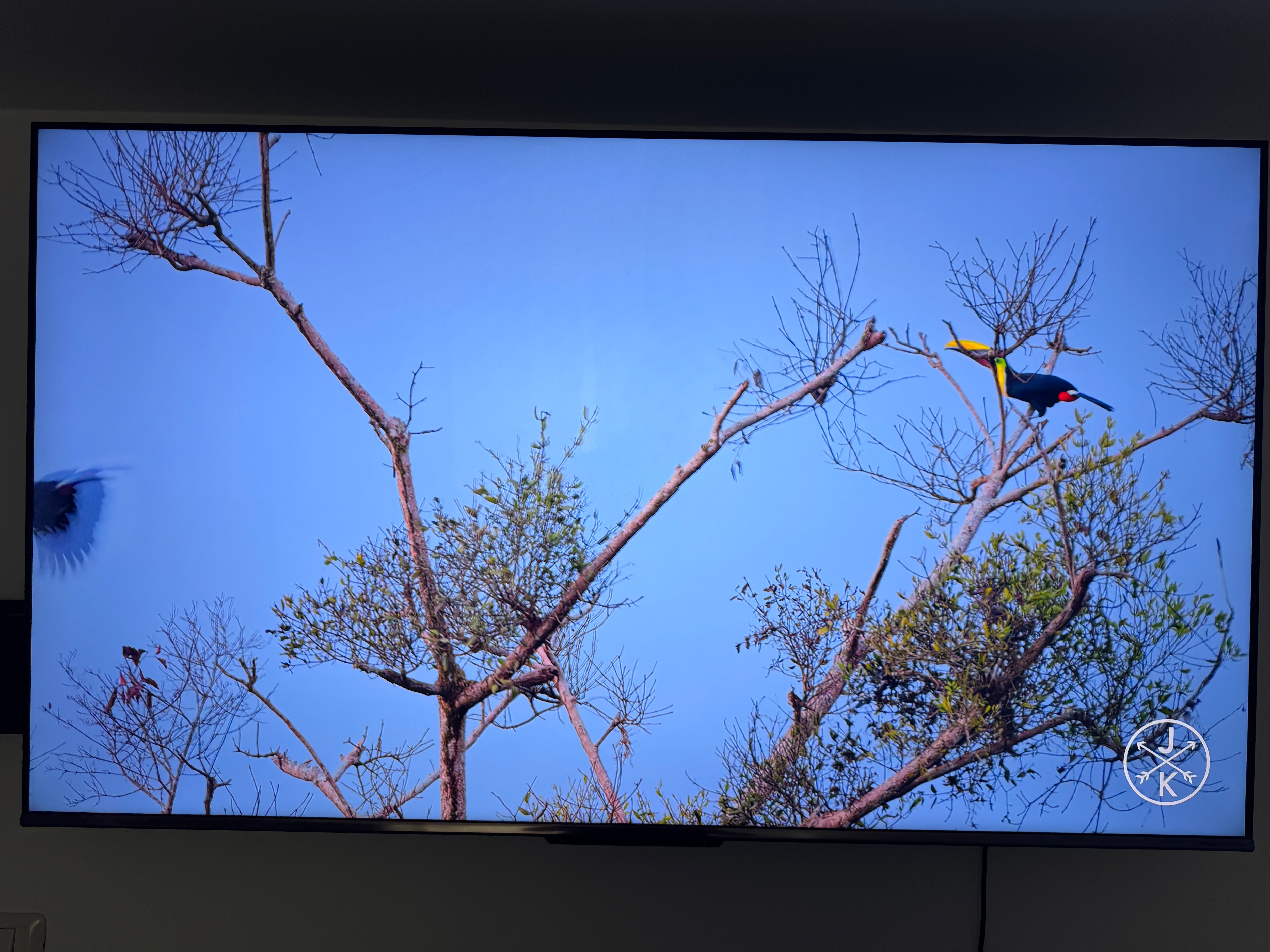 Televizor METZ QLED 75MQD7500, 189 cm, Smart Google TV, 4K Ultra HD, Clasa F (Model 2024)