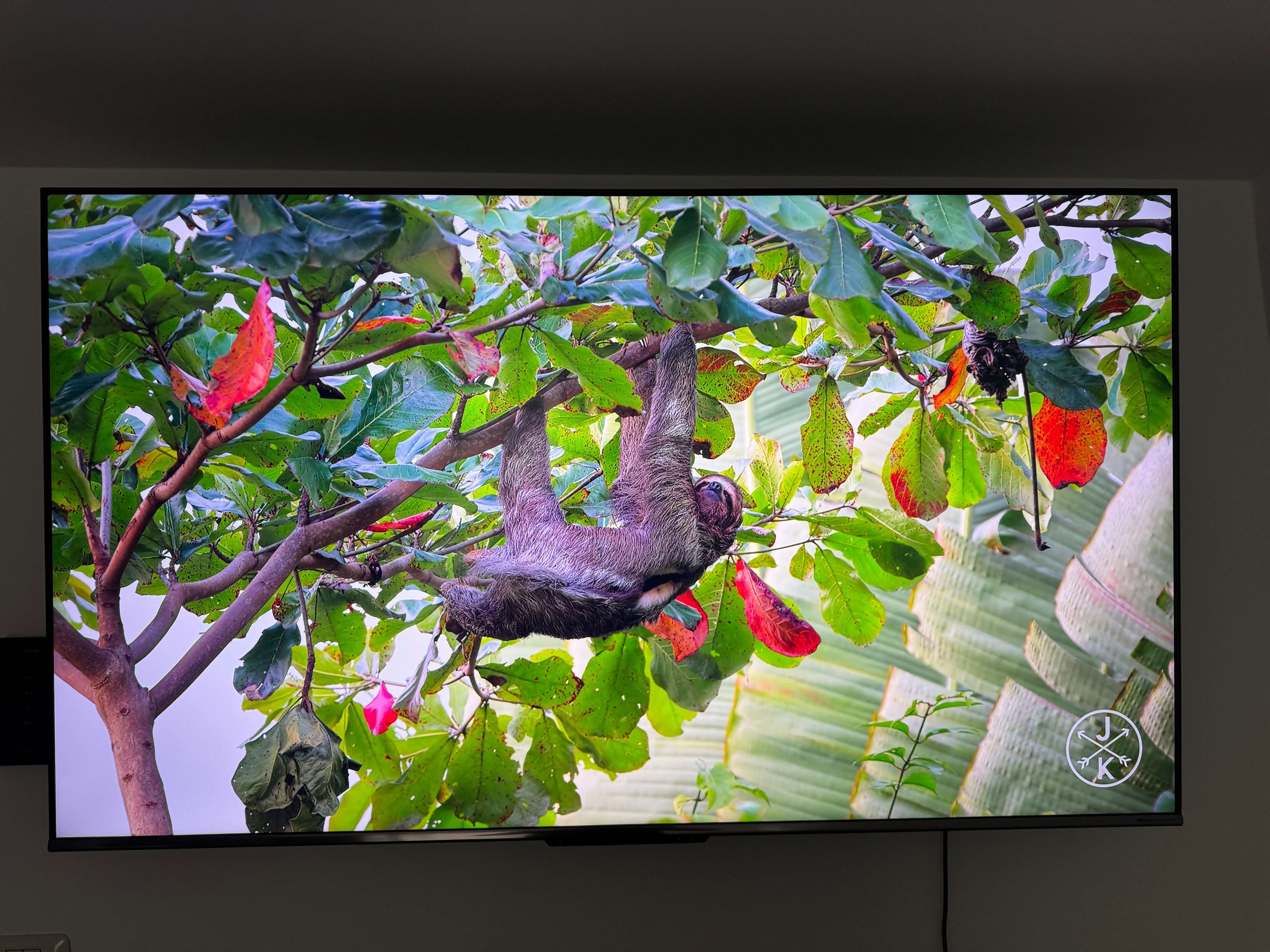 Televizor METZ QLED 75MQD7500, 189 cm, Smart Google TV, 4K Ultra HD, Clasa F (Model 2024)
