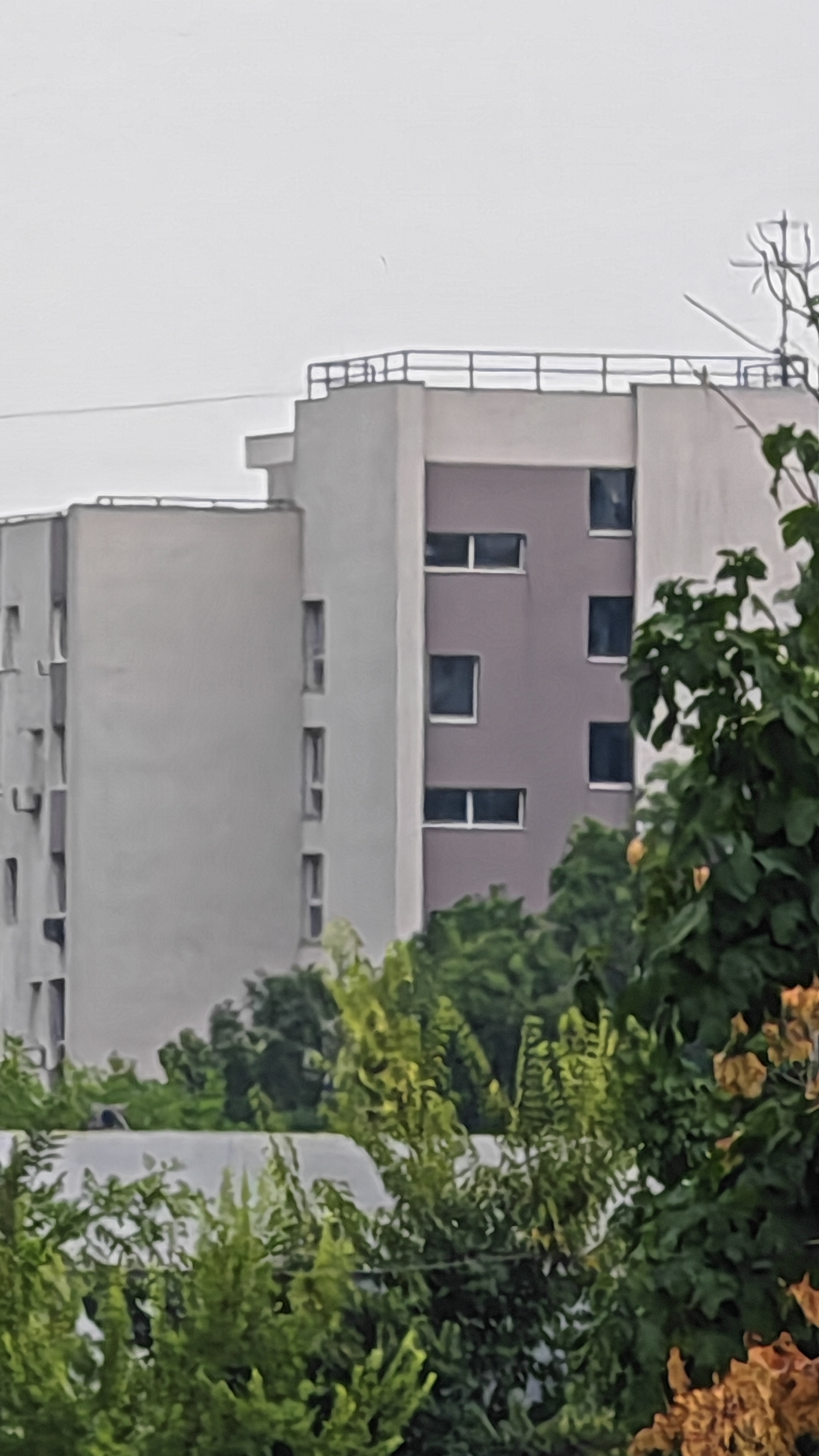 Telefon mobil HONOR Magic V3, Dual SIM, 12GB RAM, 512GB, 5G, Negru