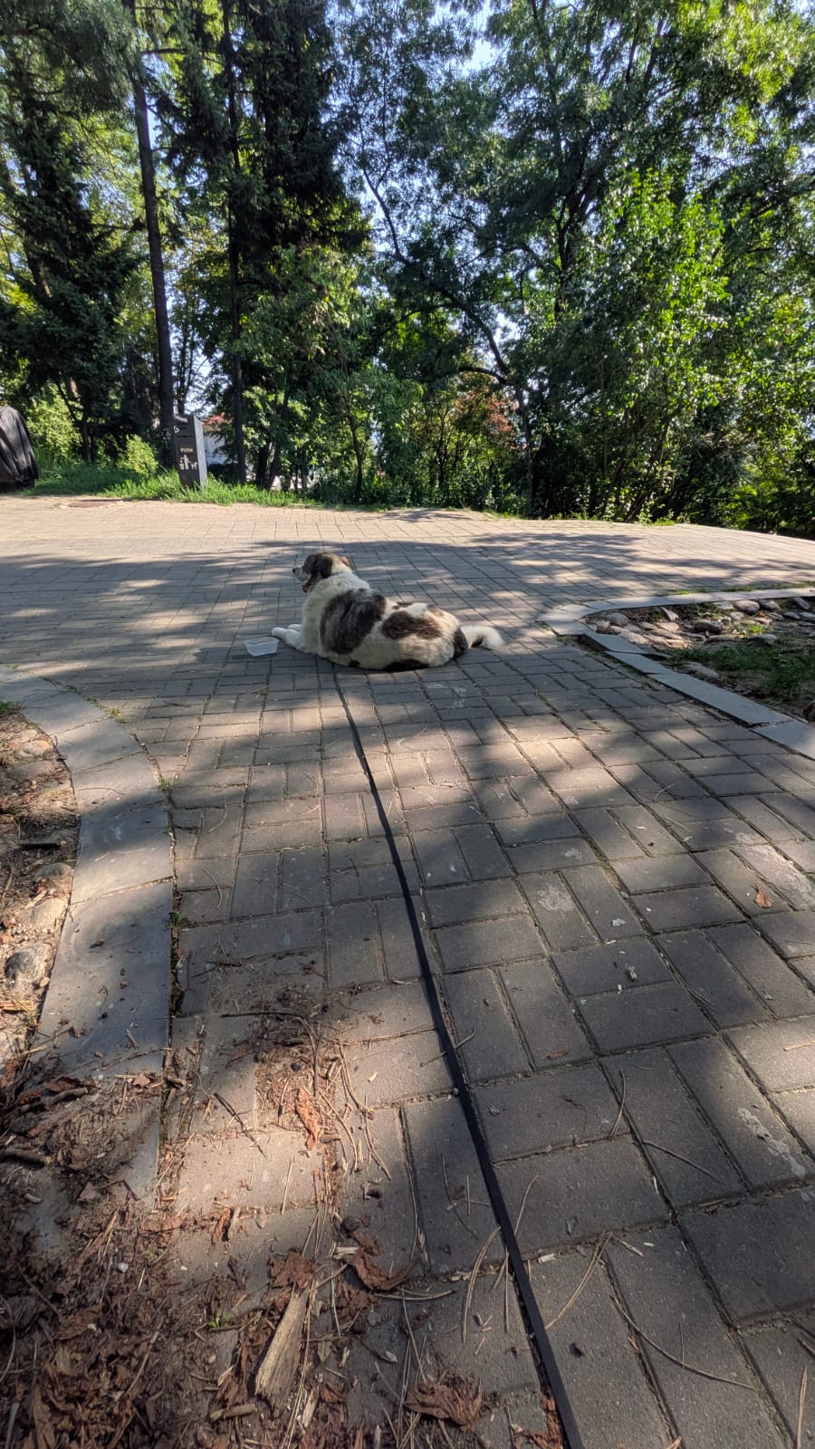 Telefon mobil Google Pixel 8a, 128GB, 8GB RAM, 5G, Obsidian