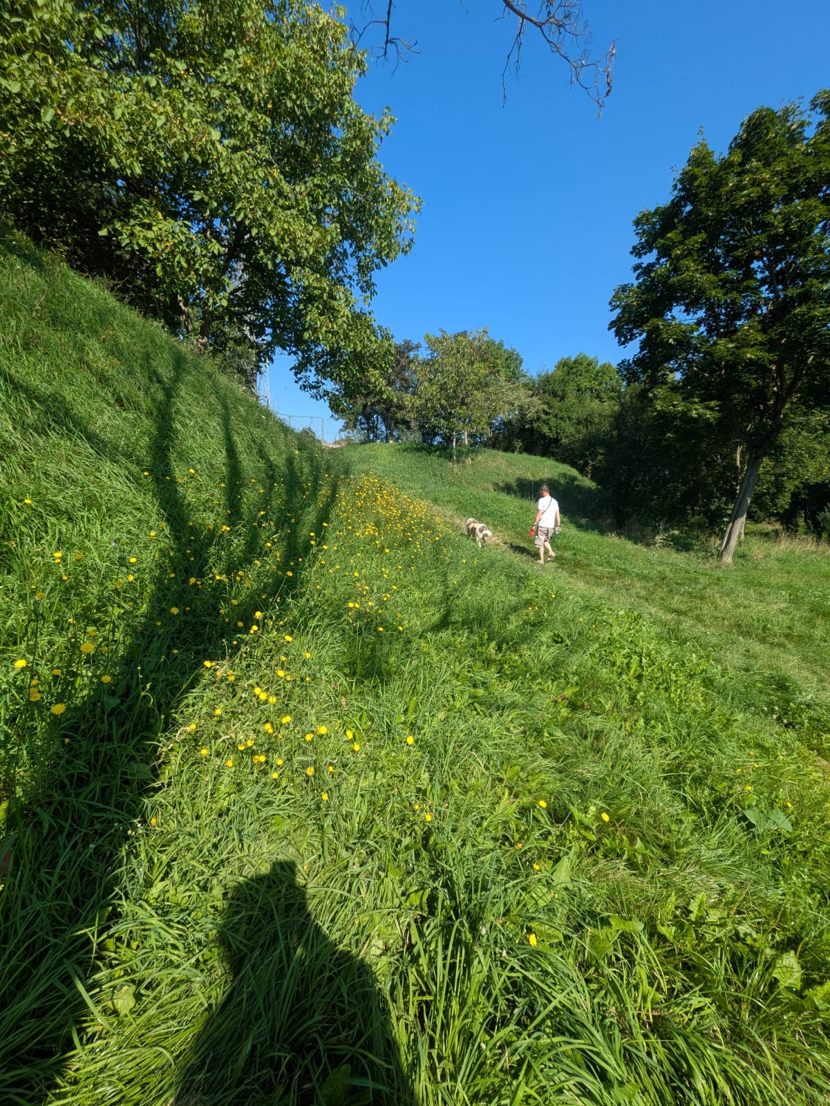 Telefon mobil Google Pixel 8a, 128GB, 8GB RAM, 5G, Obsidian