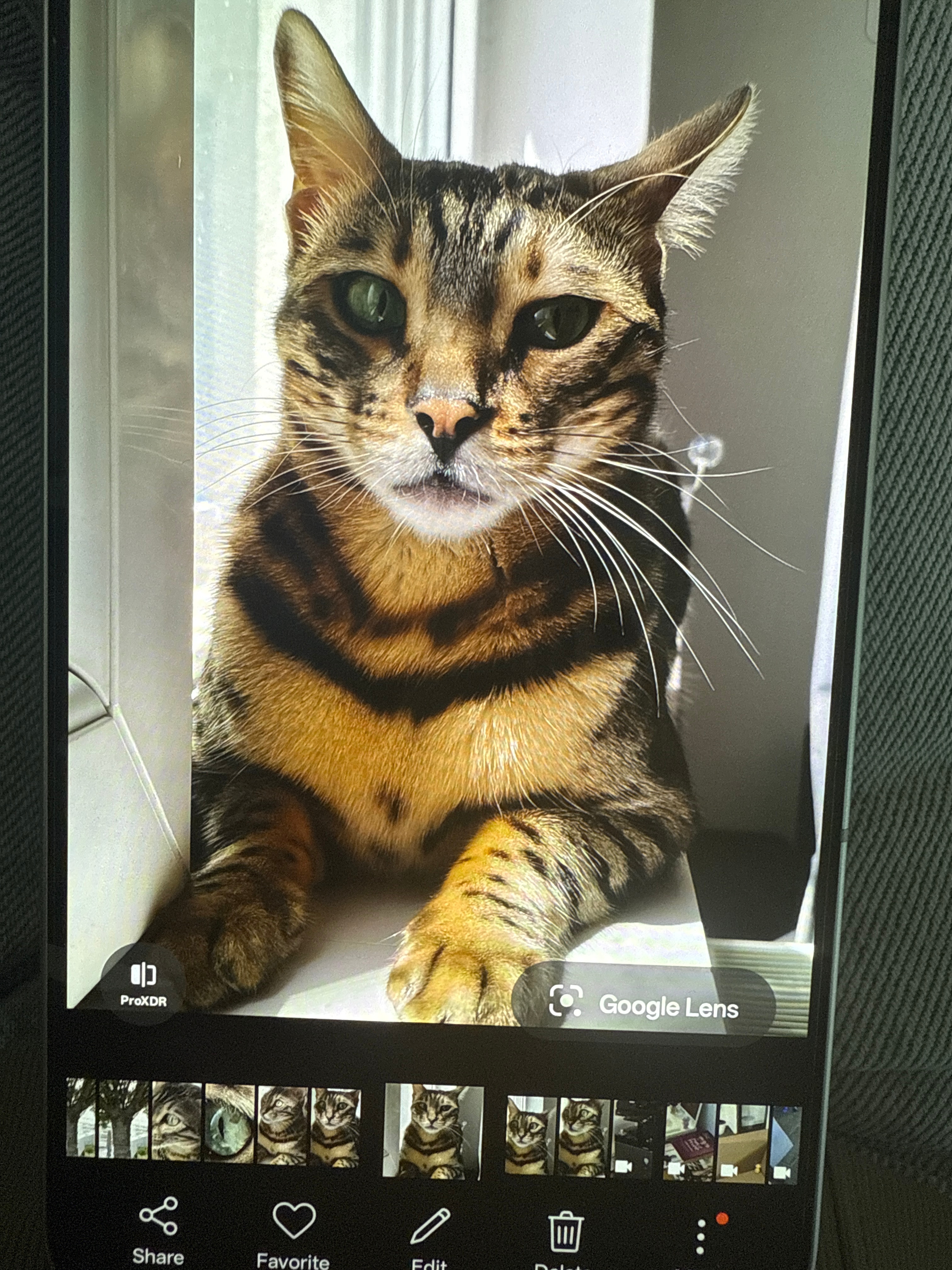 Telefon mobil OPPO Reno14, Mediatek Dimensity 8350, Dual SIM, 12GB/512GB, 5G, Verde