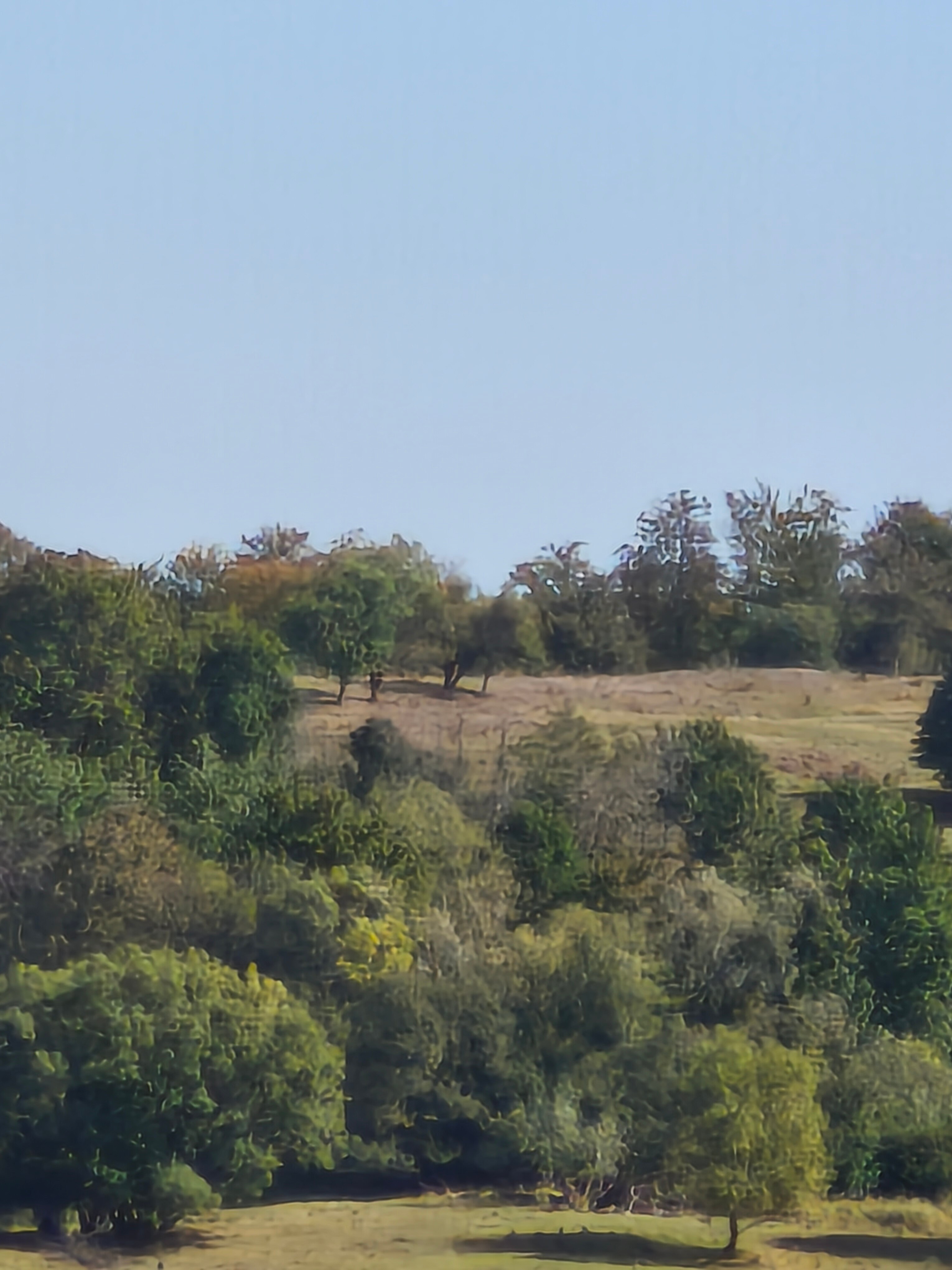 Telefon mobil Xiaomi 14T Pro, 12GB RAM, 1TB, 5G, Titan Black