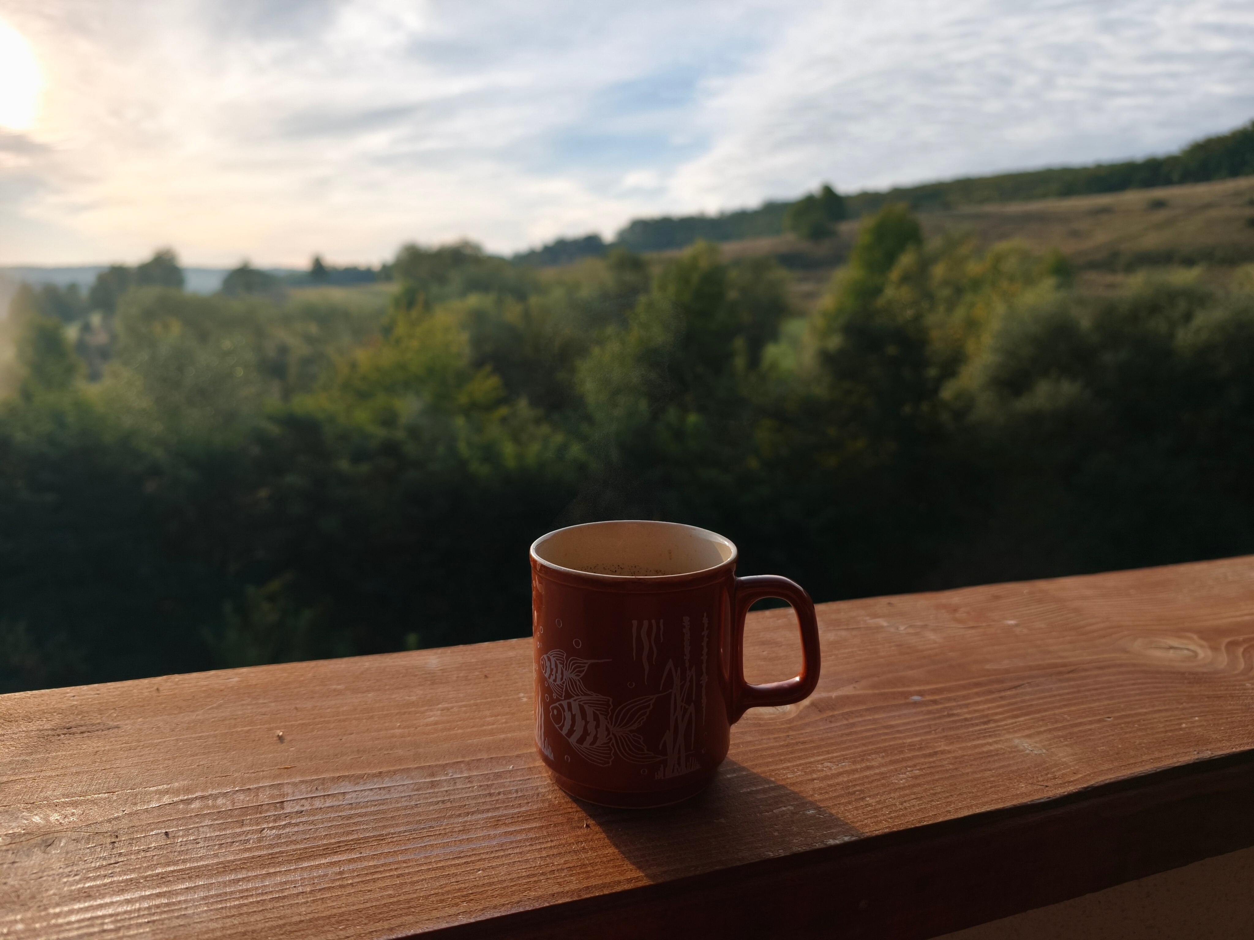 Telefon mobil Xiaomi 14T Pro, 12GB RAM, 1TB, 5G, Titan Black