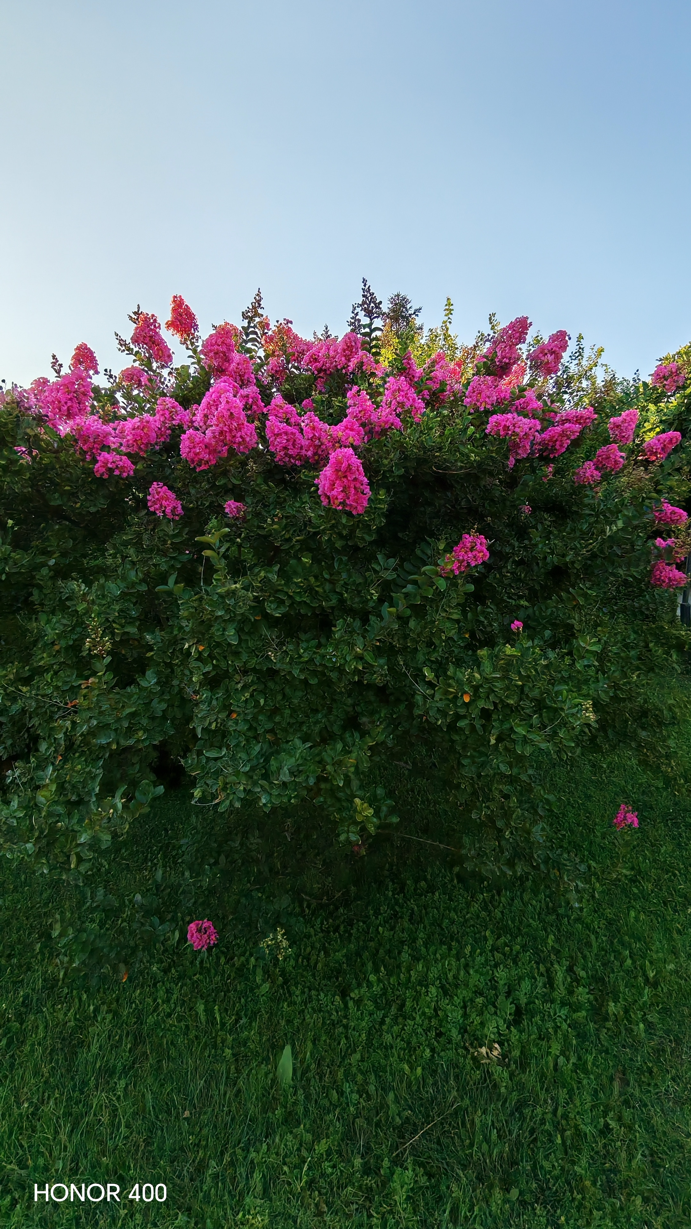 Telefon mobil HONOR 400, Dual SIM, 8GB RAM, 512GB ROM, Midnight Black