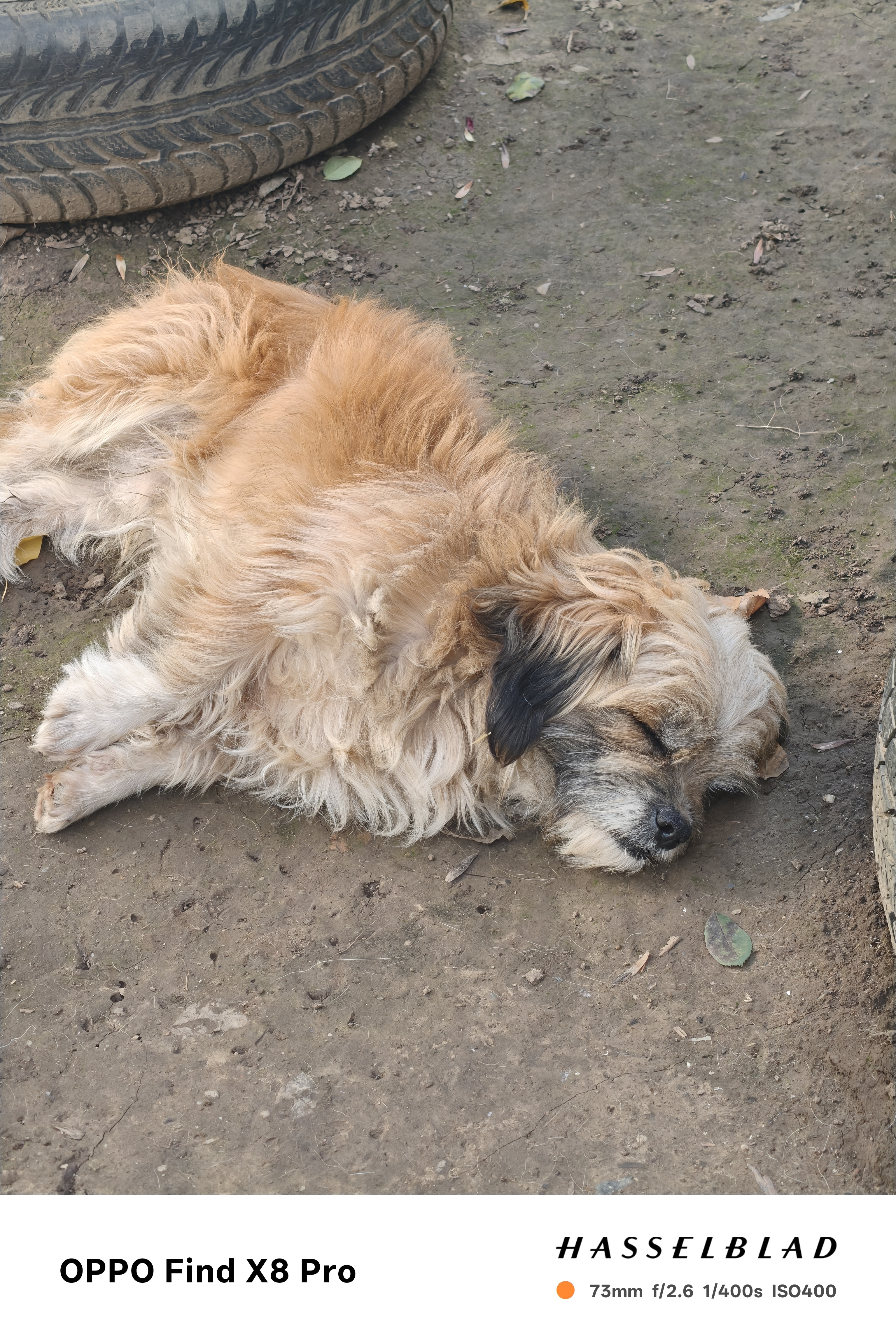 Telefon mobil OPPO Find X8 Pro, Dual SIM, 16GB RAM, 512GB, 5G, Pearl White