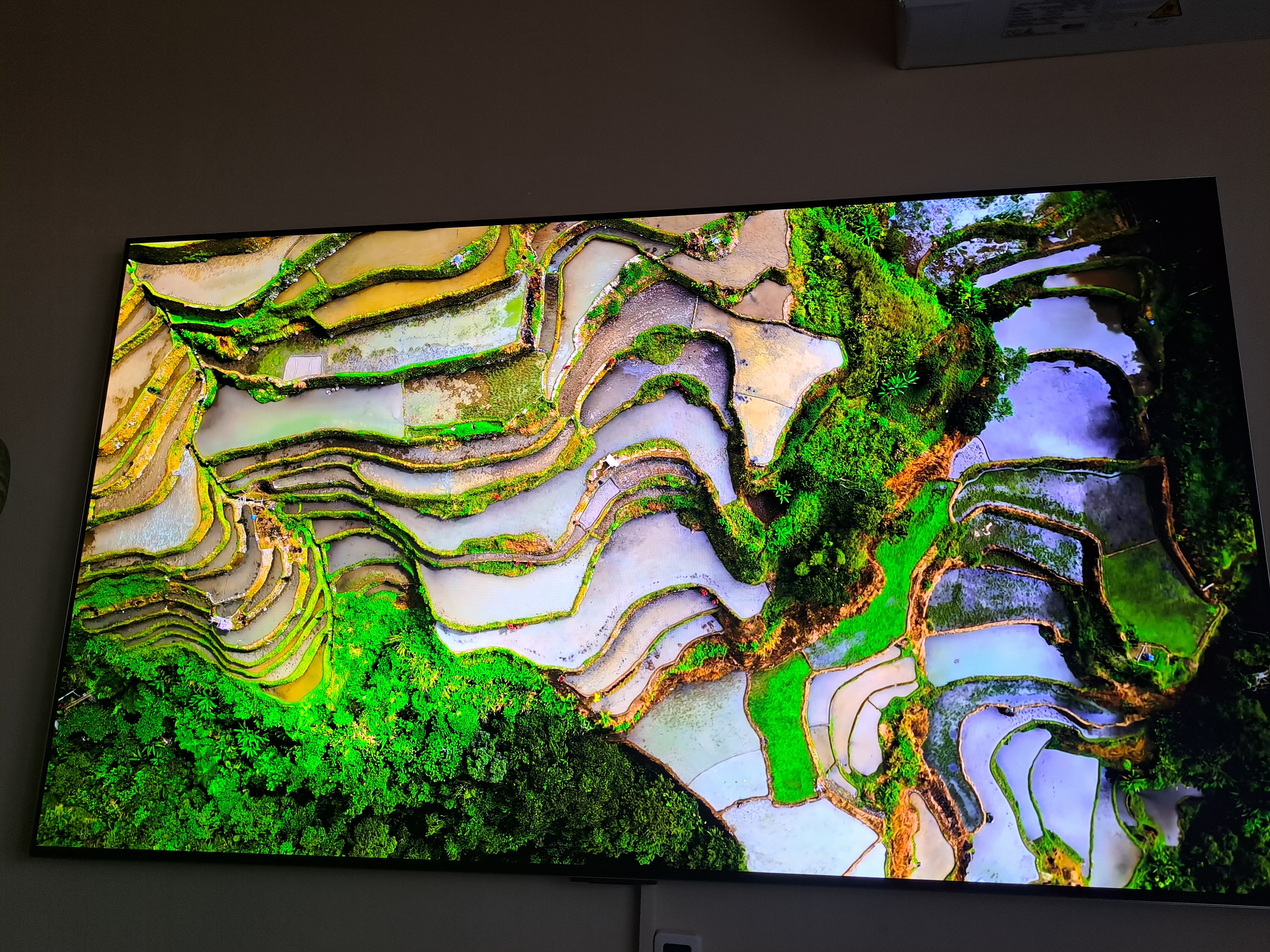 Televizor LG OLED evo 77G51LW, 195 cm, Smart, 4K Ultra HD, 100 Hz, Clasa E (Model 2025)