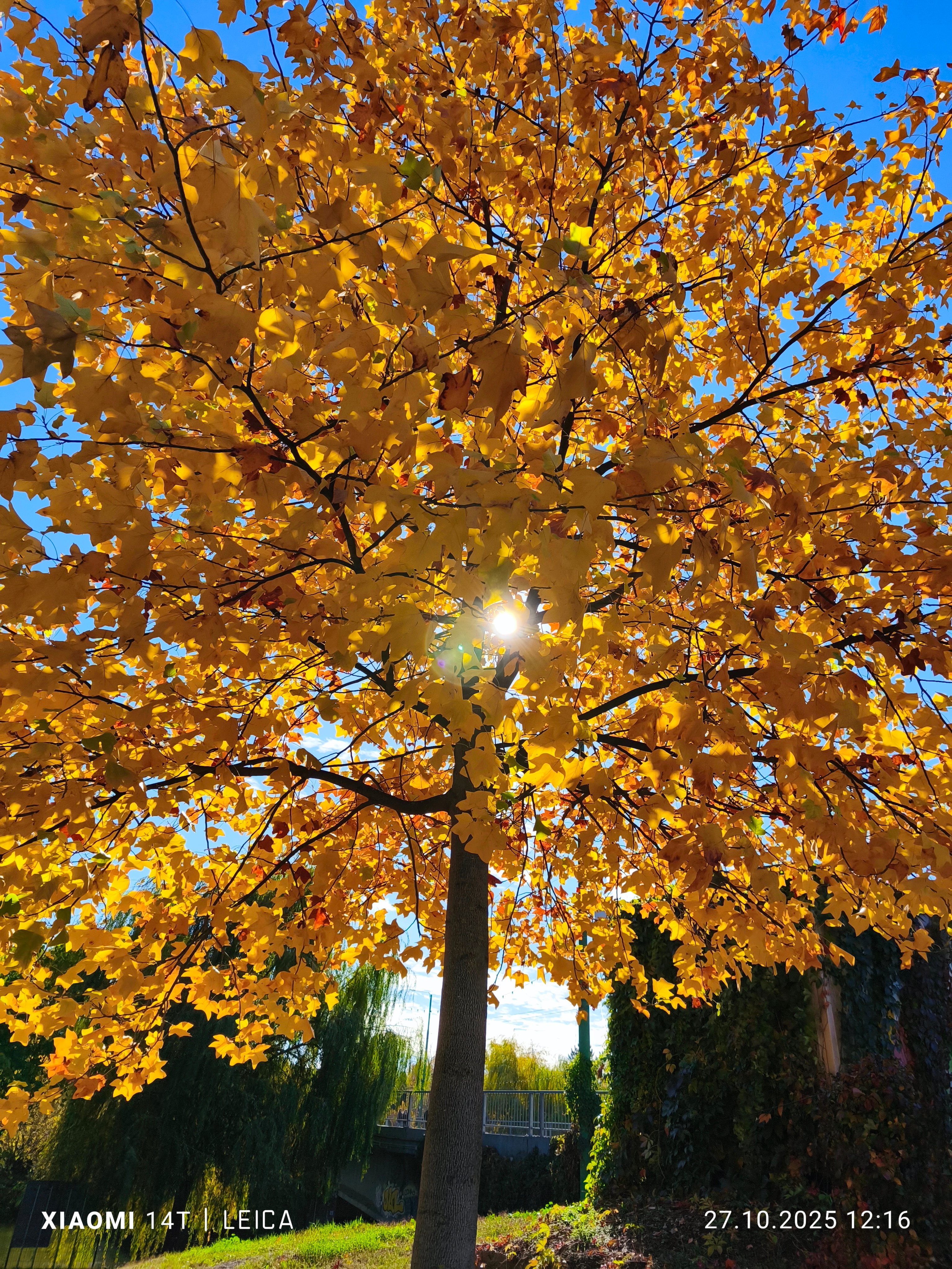 Telefon mobil Xiaomi 14T, 12GB RAM, 256GB, 5G, Titan Black