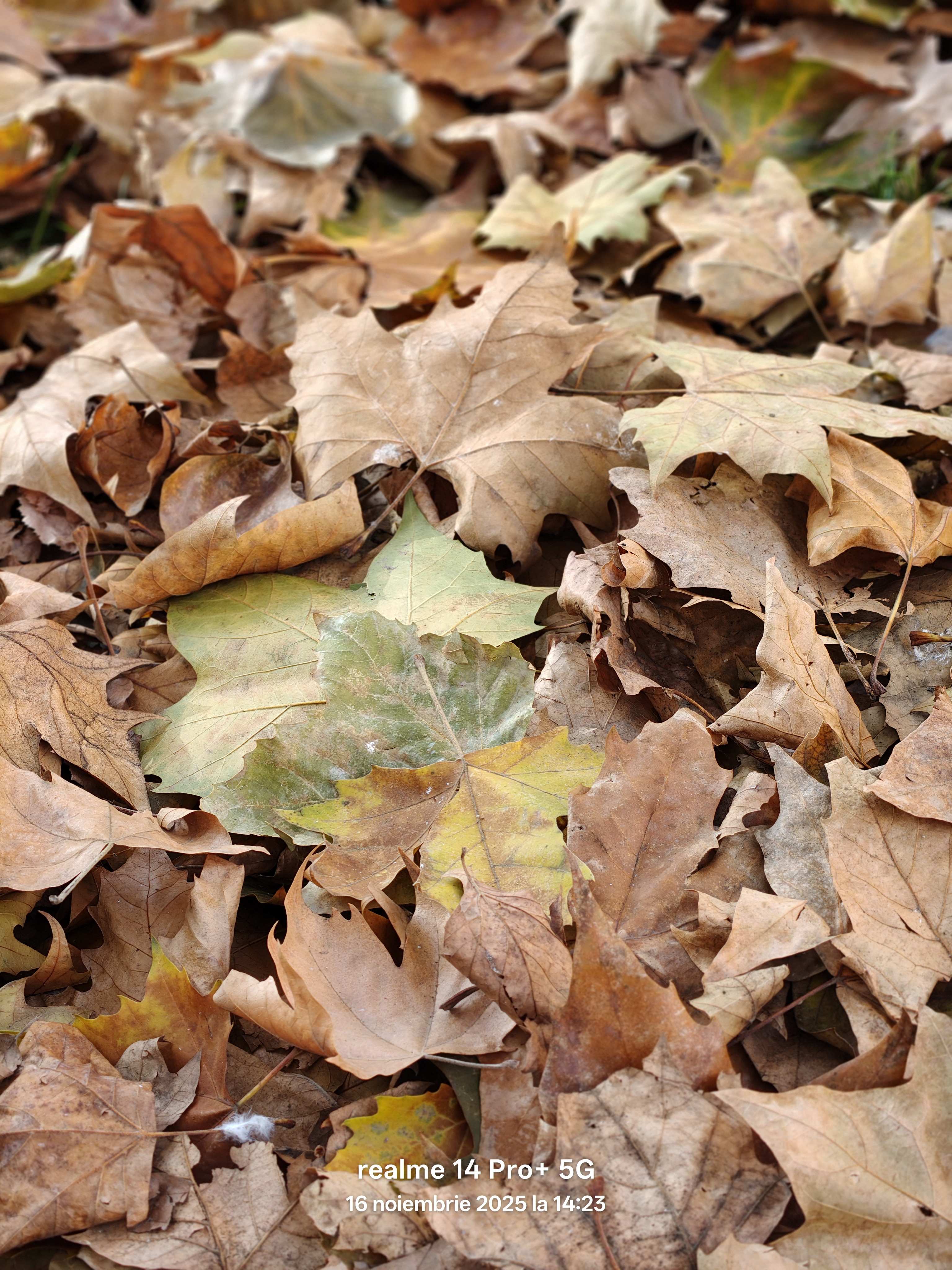 Telefon mobil realme 14 Pro+ 5G, Dual SIM, 512GB, 12GB RAM, Pearl White