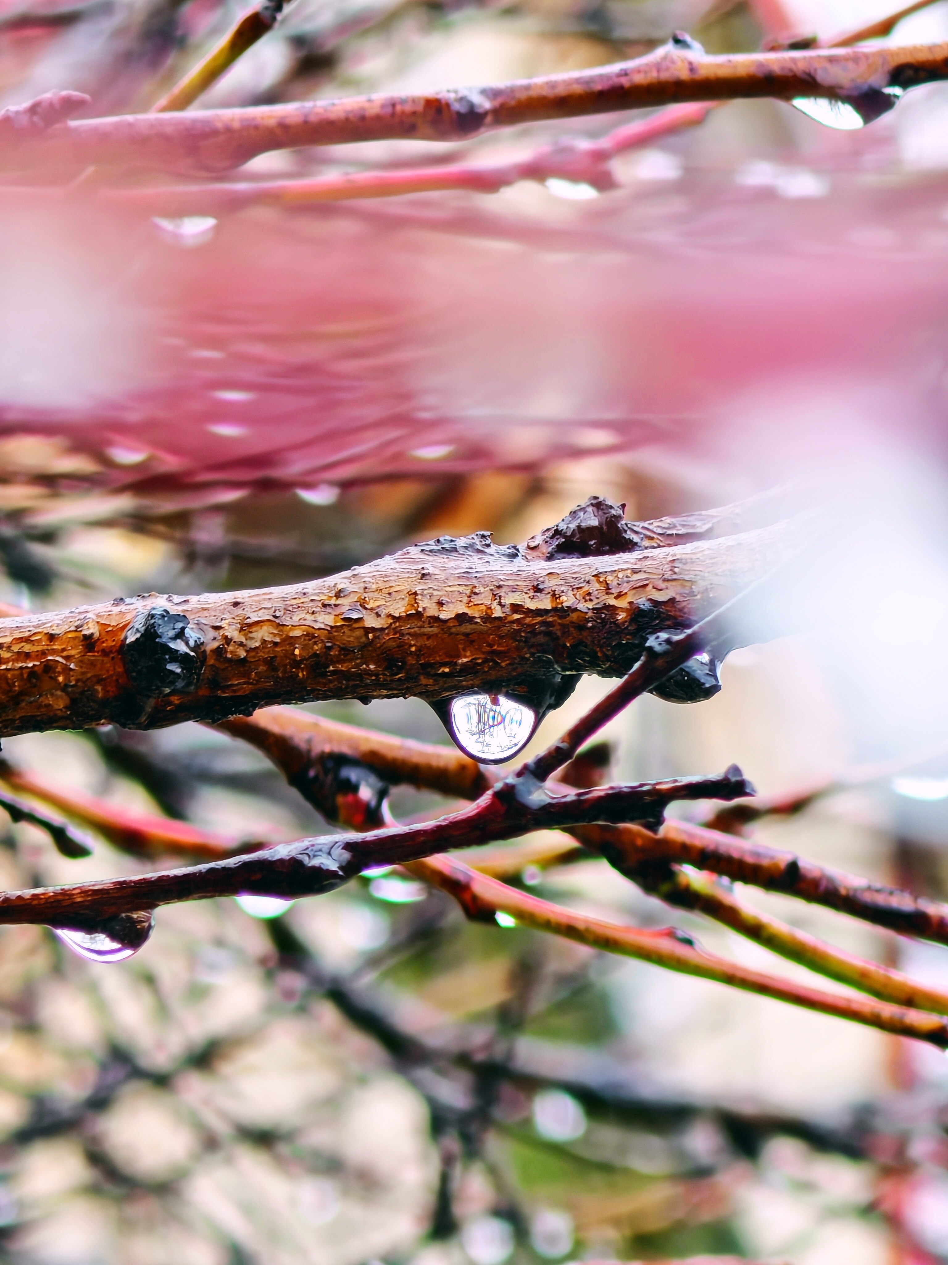 Telefon mobil HONOR Magic 7 Pro, Dual SIM, 12GB RAM, 512GB, Black