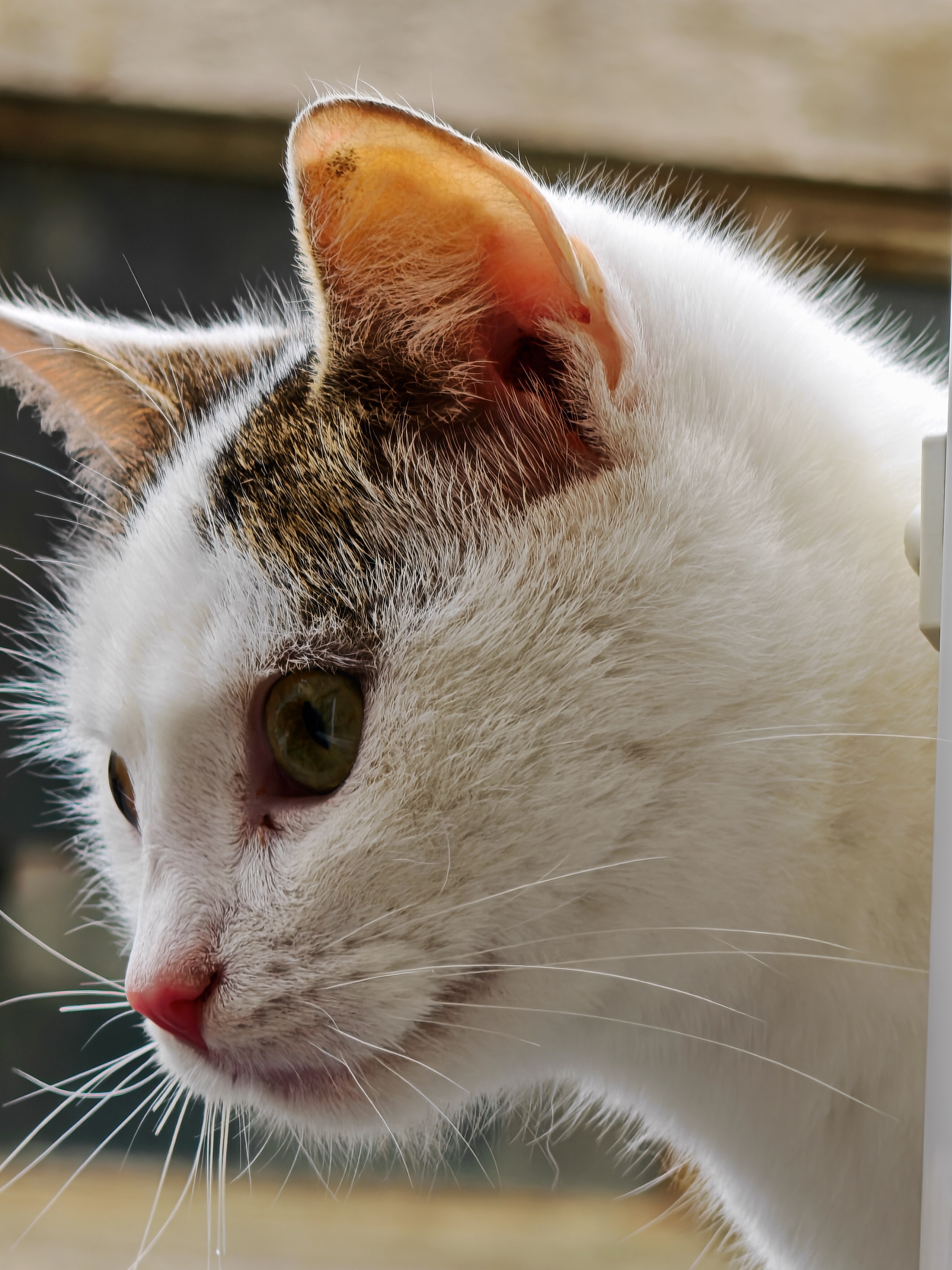 Telefon mobil HONOR Magic 7 Pro, Dual SIM, 12GB RAM, 512GB, Black