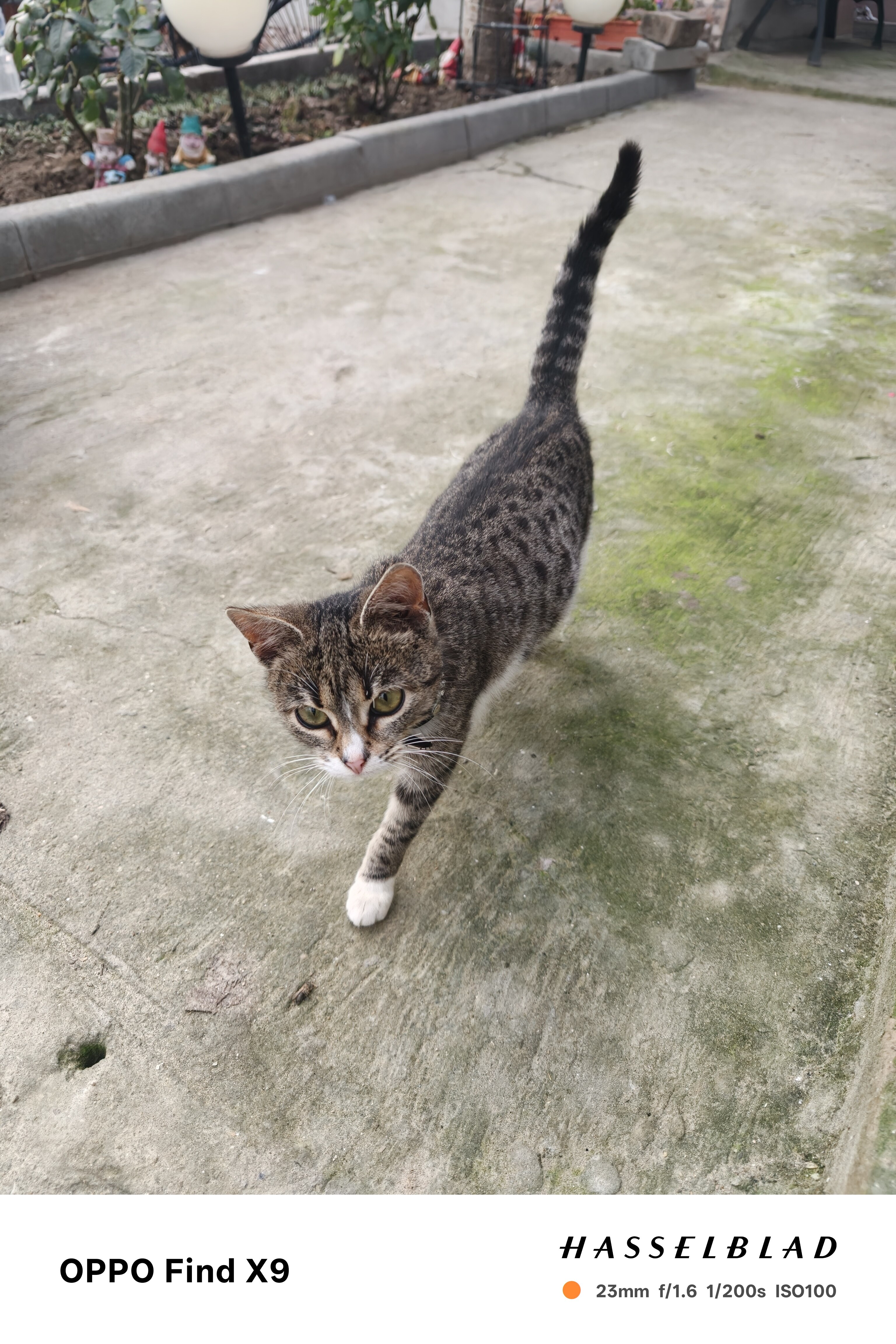 Telefon mobil OPPO Find X9, Dual SIM, 12GB RAM, 512GB, 5G, Space Black