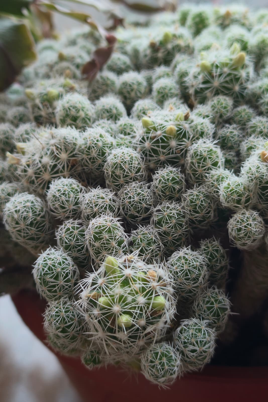 Telefon mobil realme GT 8 Pro, 512GB, 16GB RAM, 5G, Urban Blue