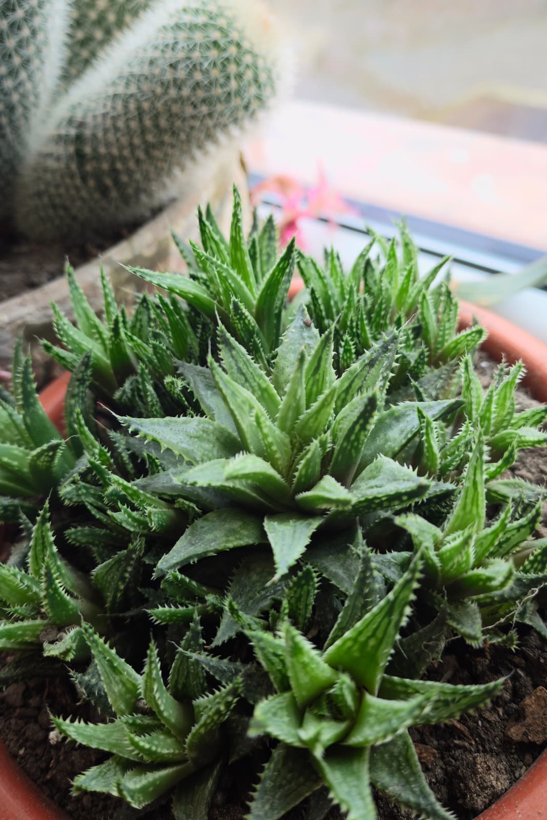 Telefon mobil realme GT 8 Pro, 512GB, 16GB RAM, 5G, Urban Blue