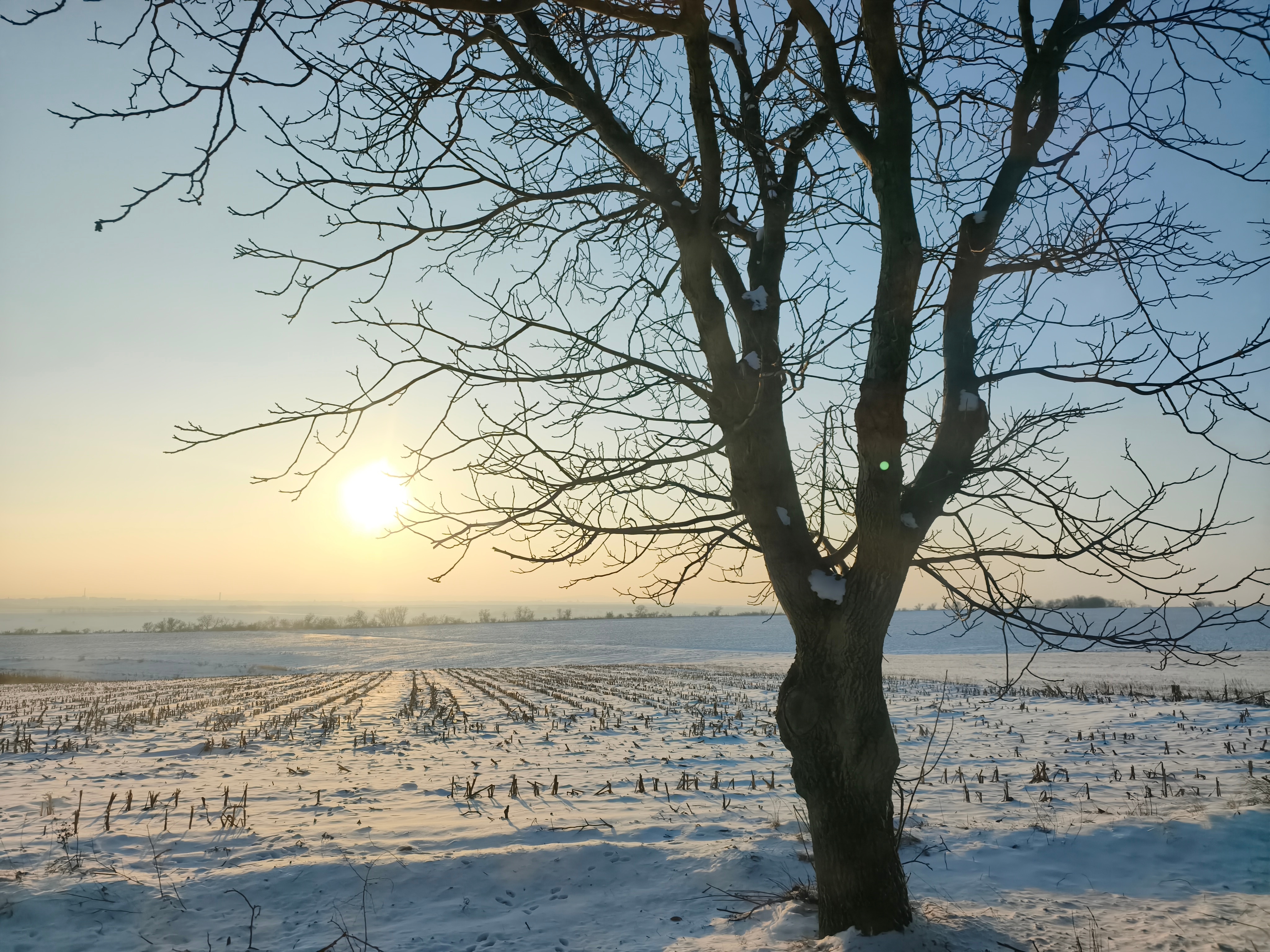 Telefon mobil Xiaomi 15T Pro, 12GB RAM, 512GB ROM, 5G Black + Woven Strap Ring Stand