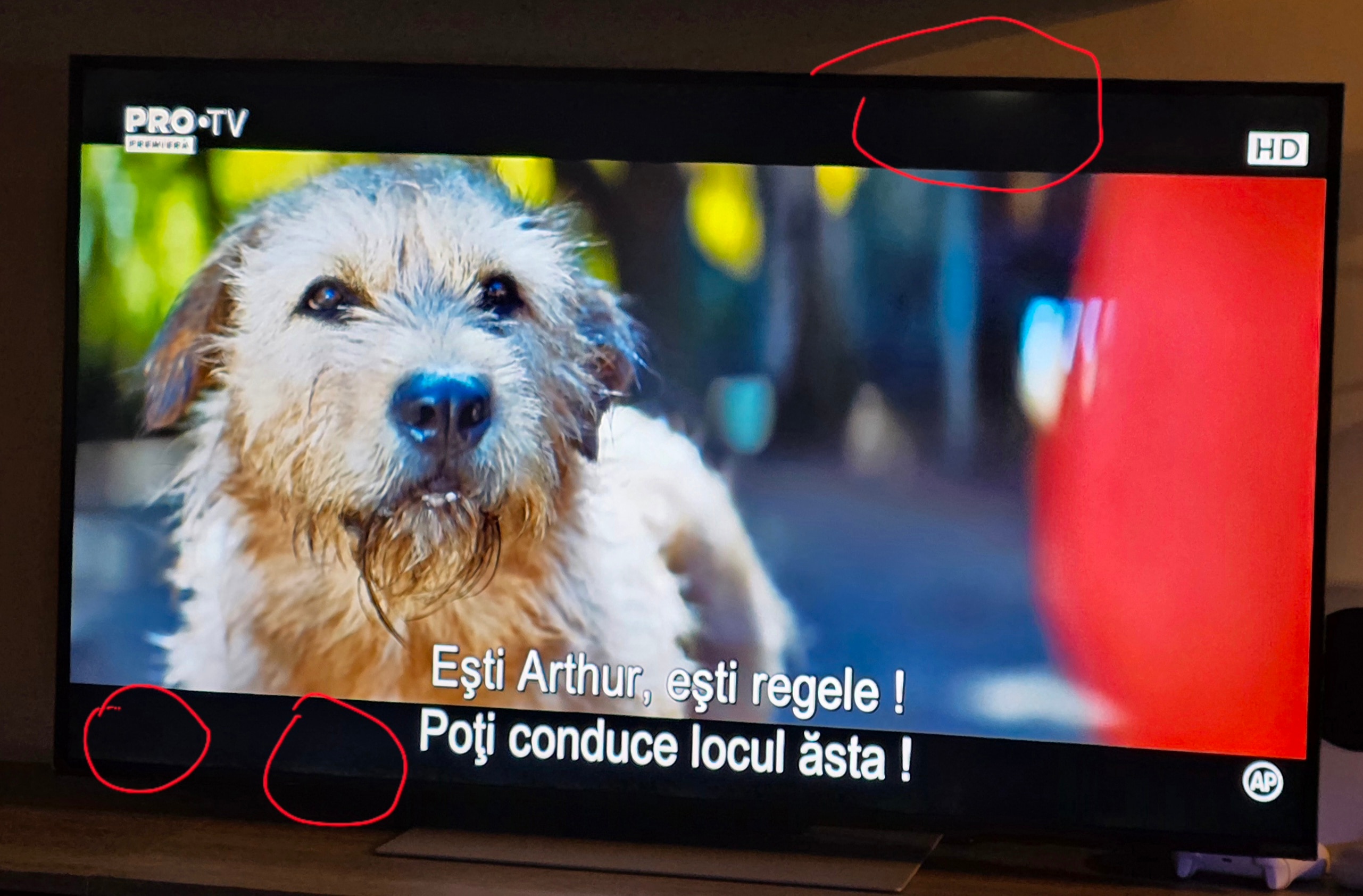 Televizor LG QNED evo 55QNED87A3B, 139 cm, Smart, 4K Ultra HD, 100Hz, Clasa E (Model 2025)