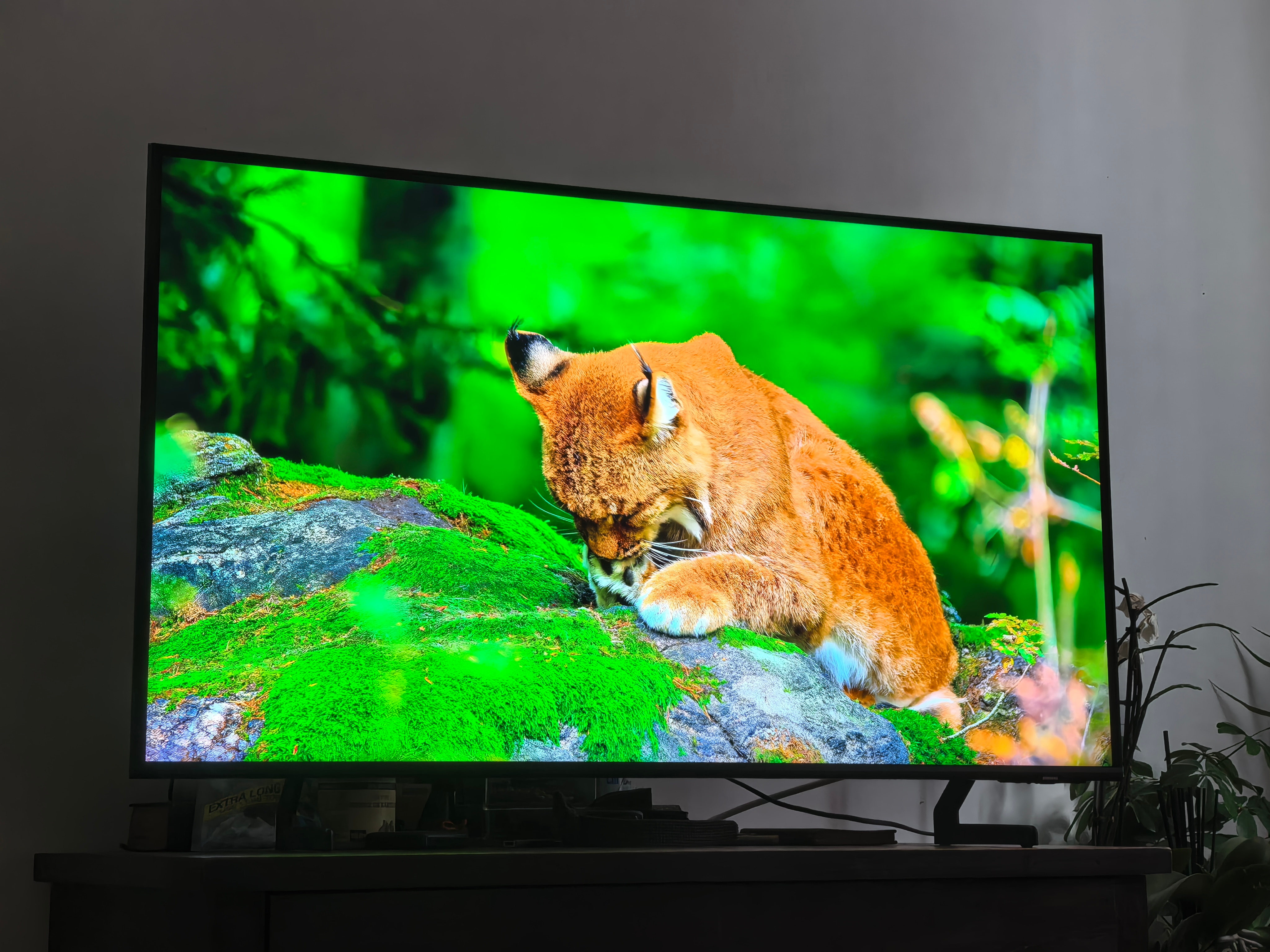 Televizor SAMSUNG QLED 75Q60C, 189 cm, Smart, 4K Ultra HD, Clasa D (Model 2023)